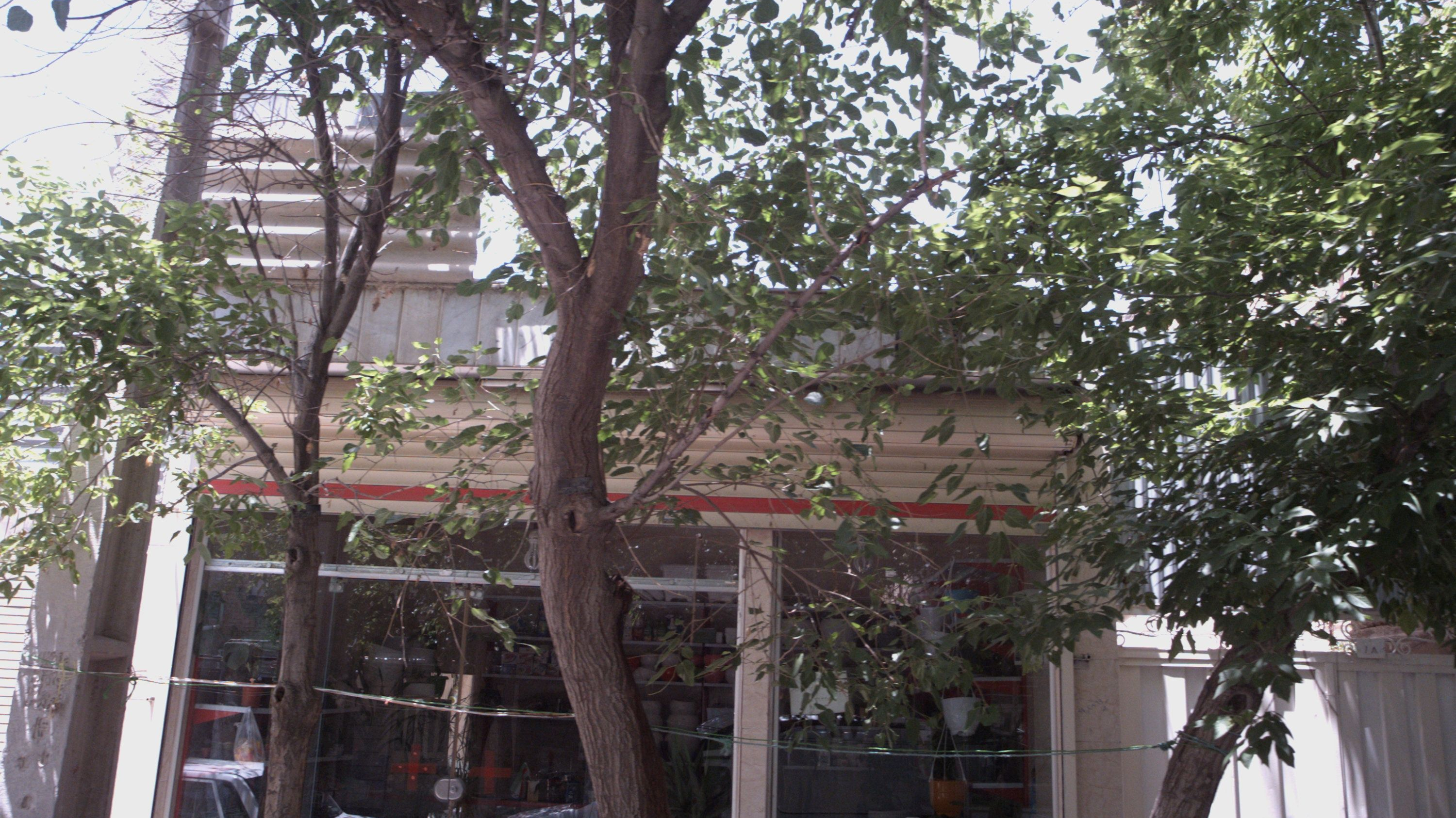 گل فروشی