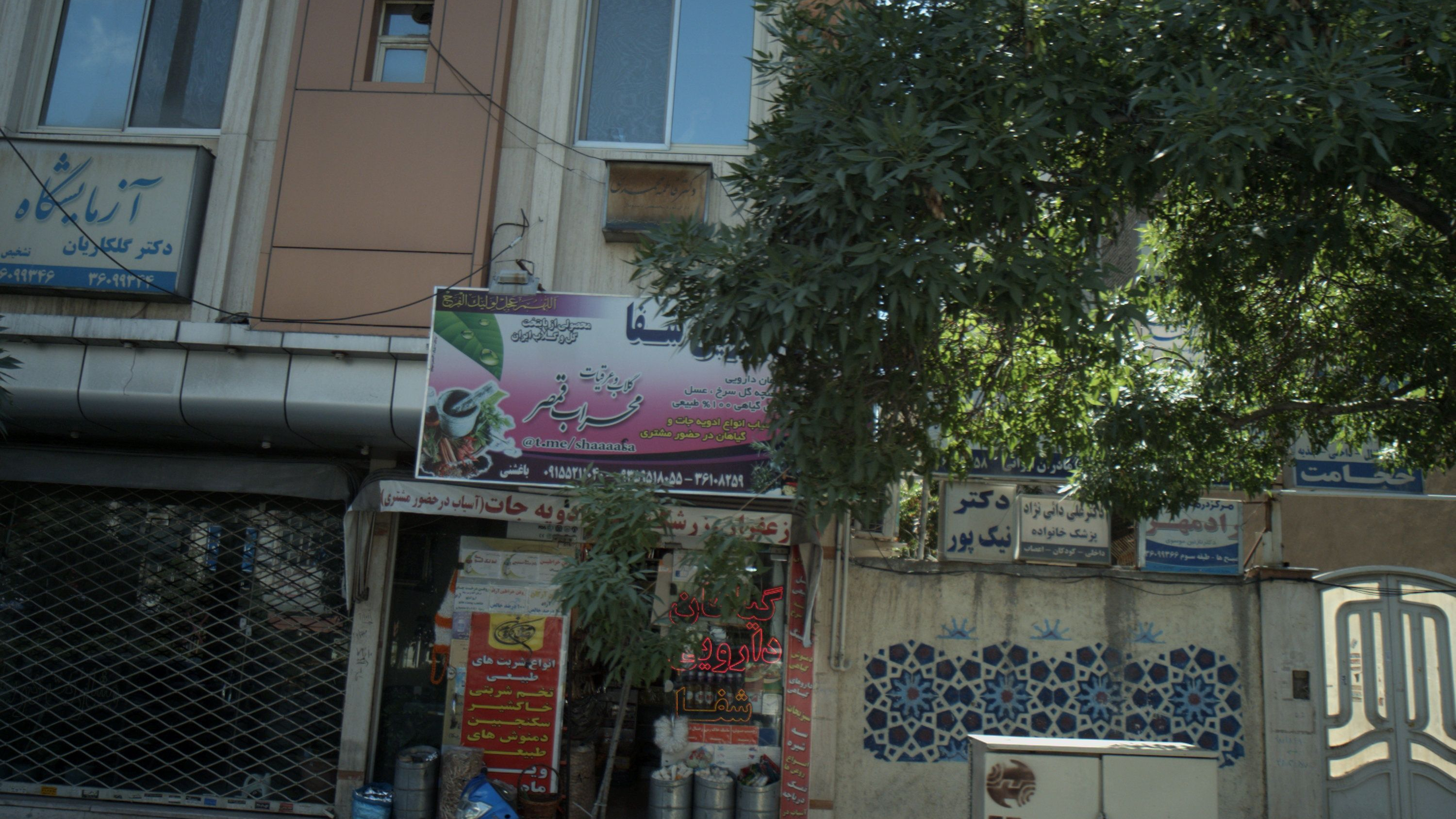 مطب حامد سیامکی