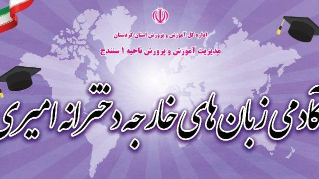 آکادمی زبان امیری