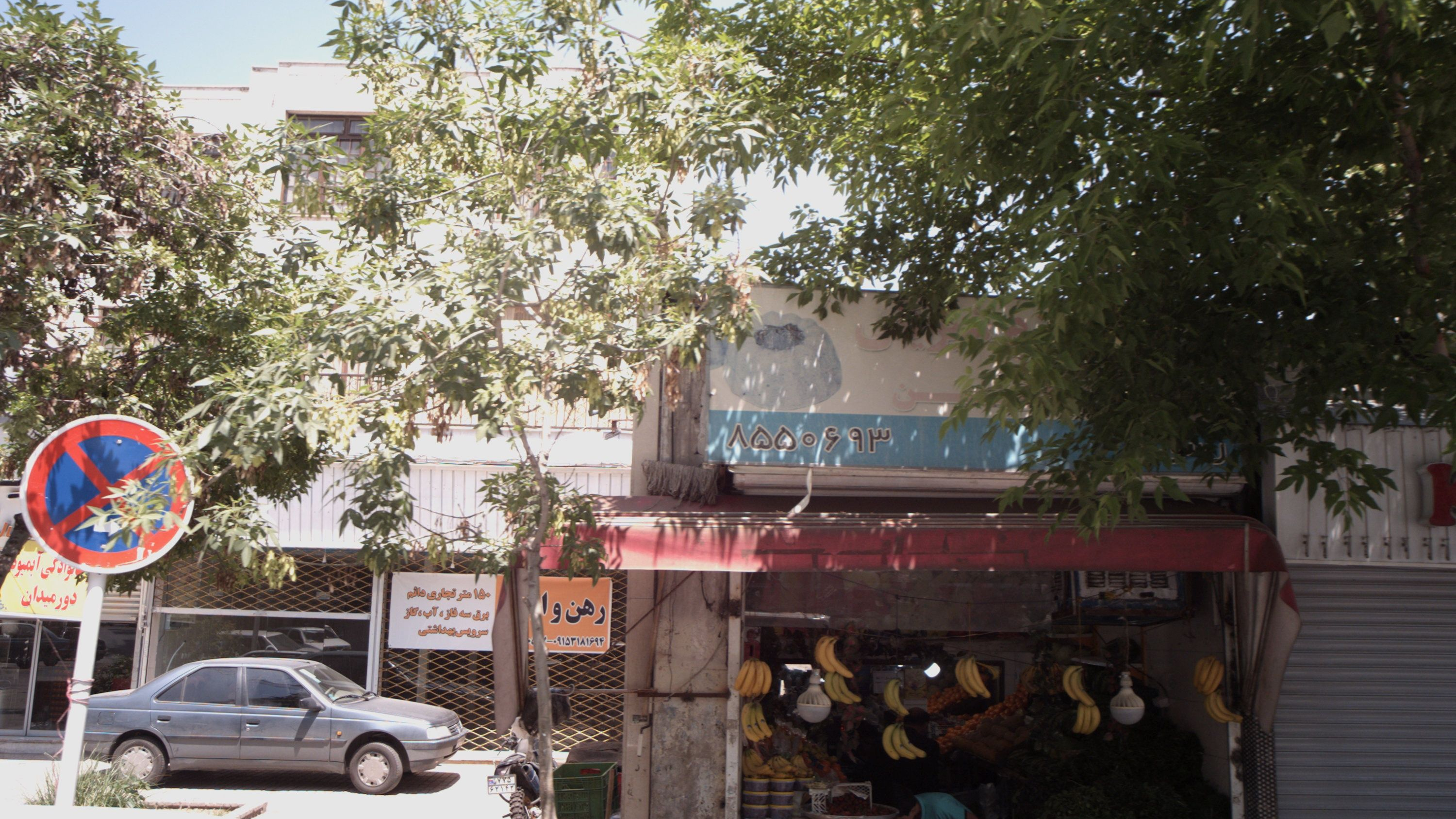 میوه فروشی رسولی