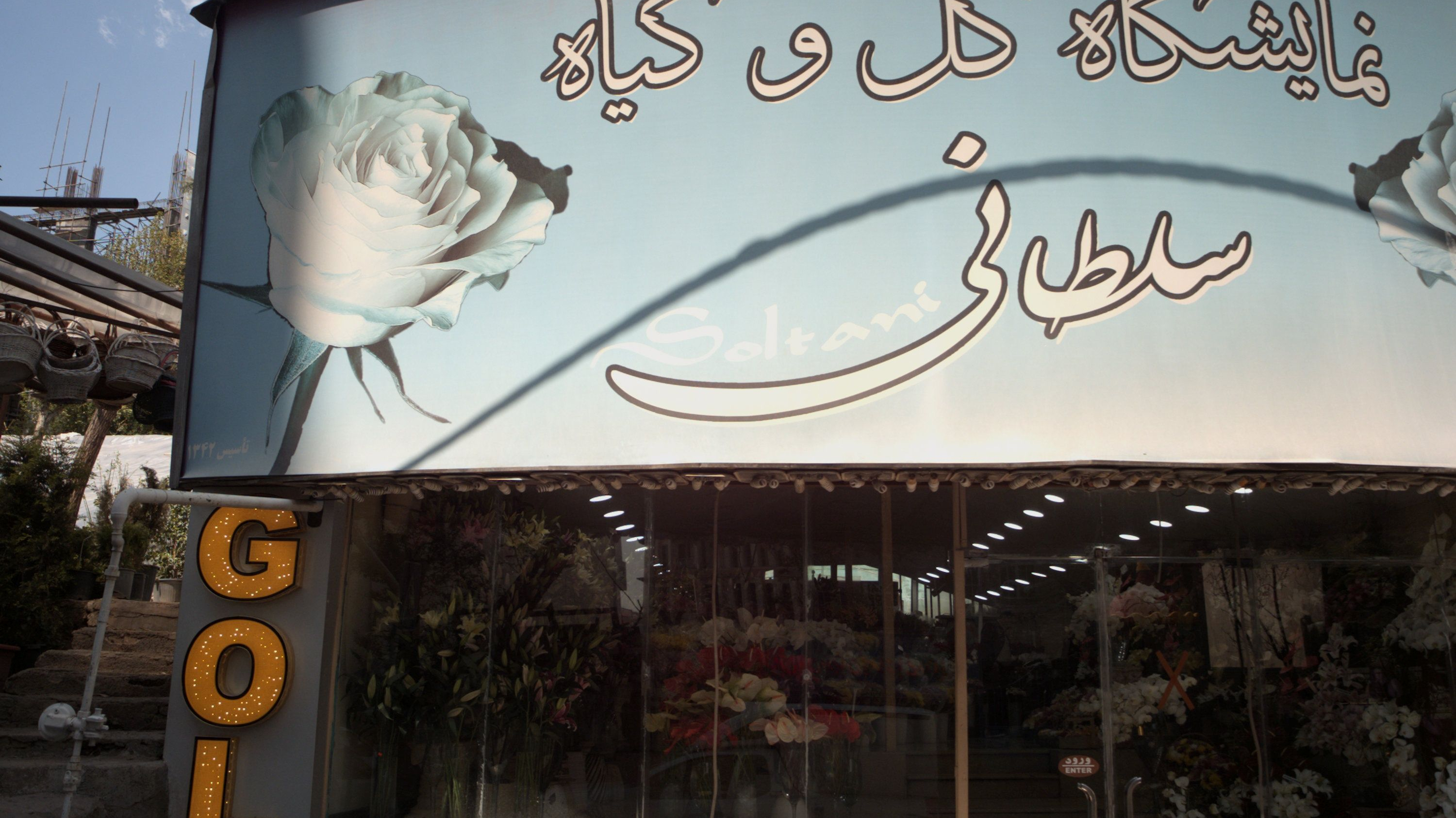 نمایشگاه گل و گیاه سلطانی