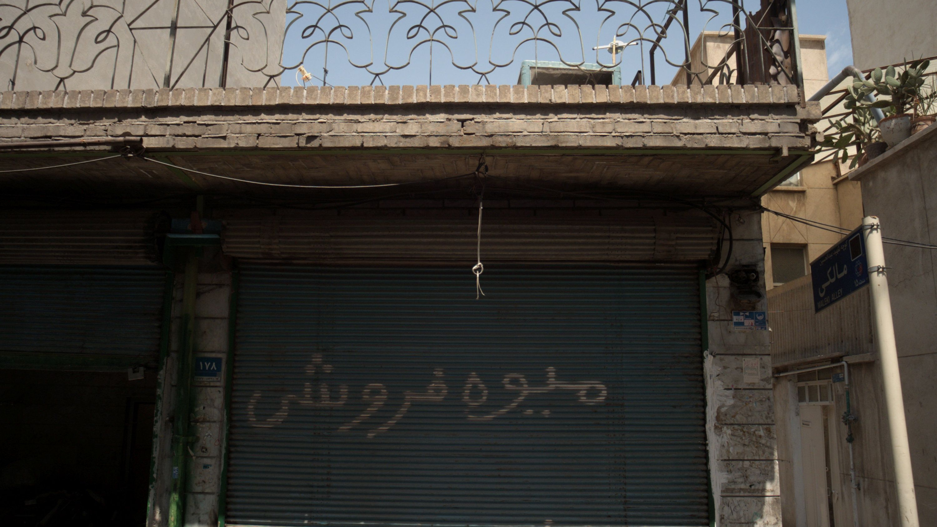 میوه فروشی