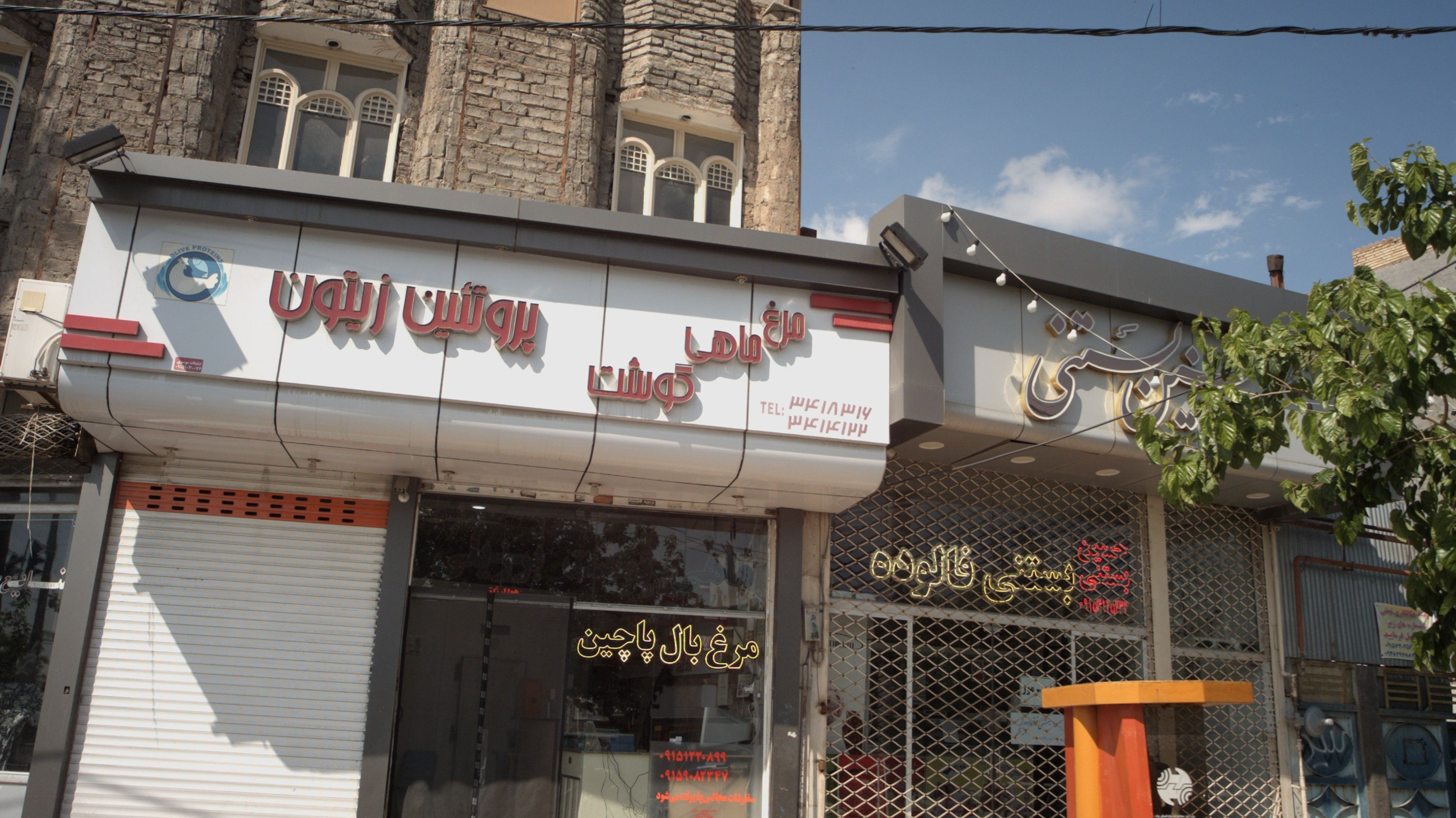 پروتئین زیتون