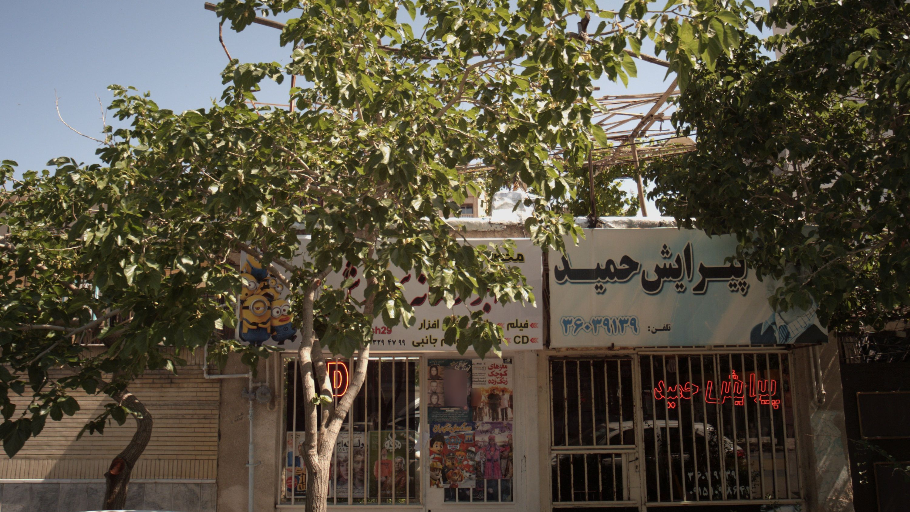 پیرایش حمید