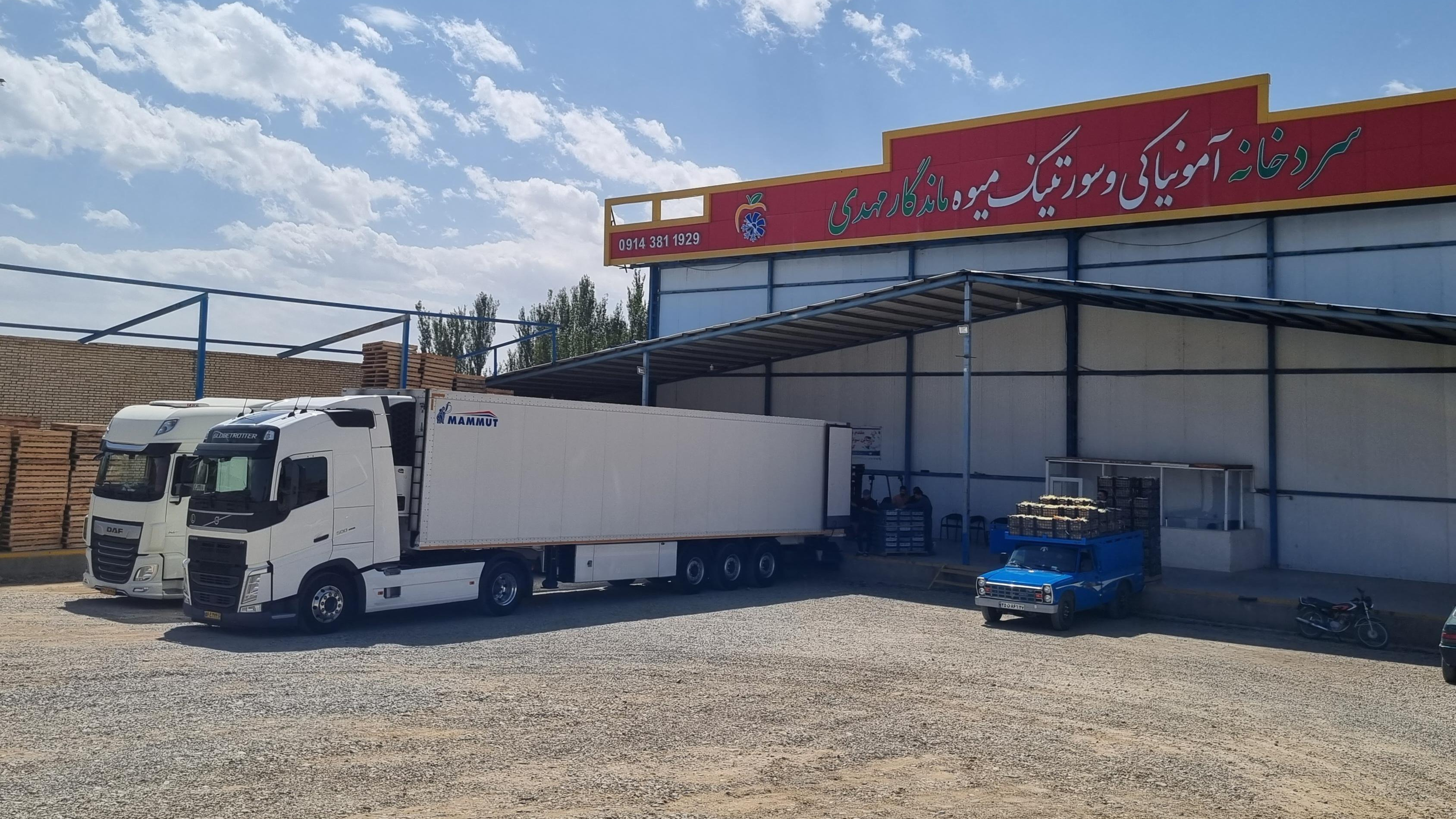 سردخانه آمونیاکی و سورتینگ ماندگار مهدی