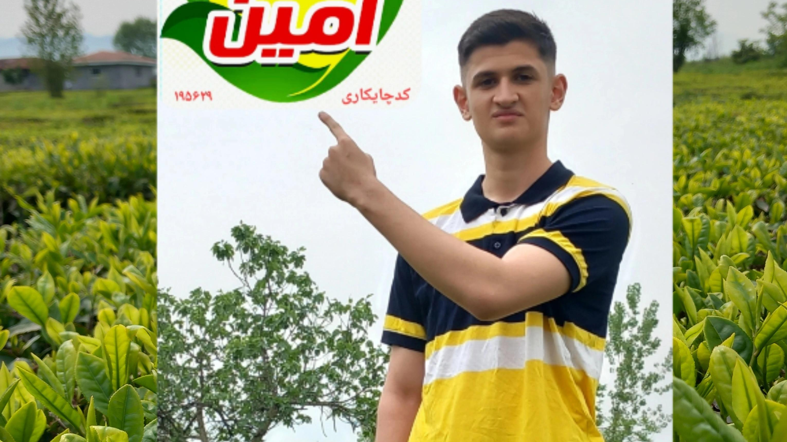 کارگاه چای سازی امین