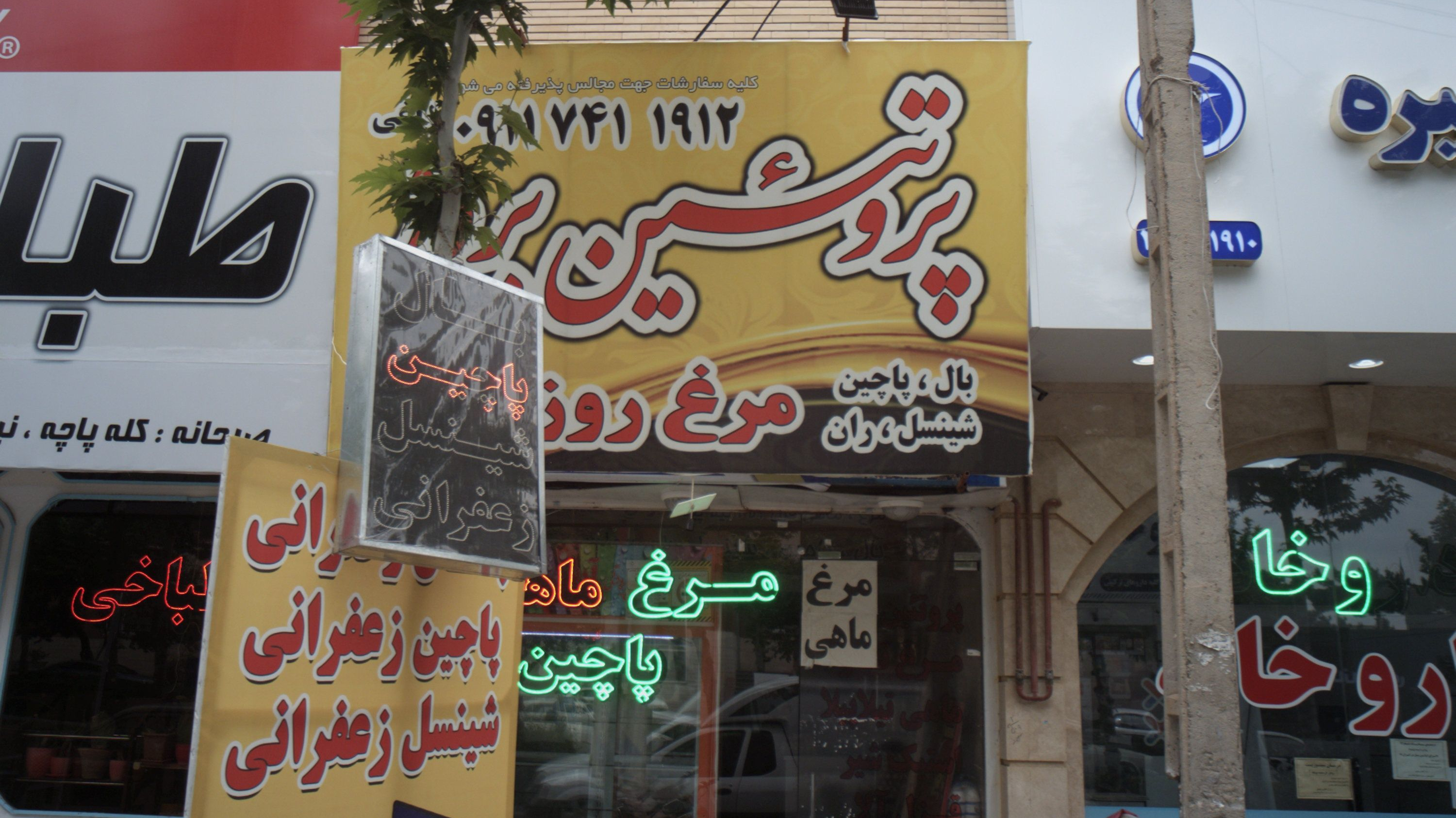 پروتئین بروز