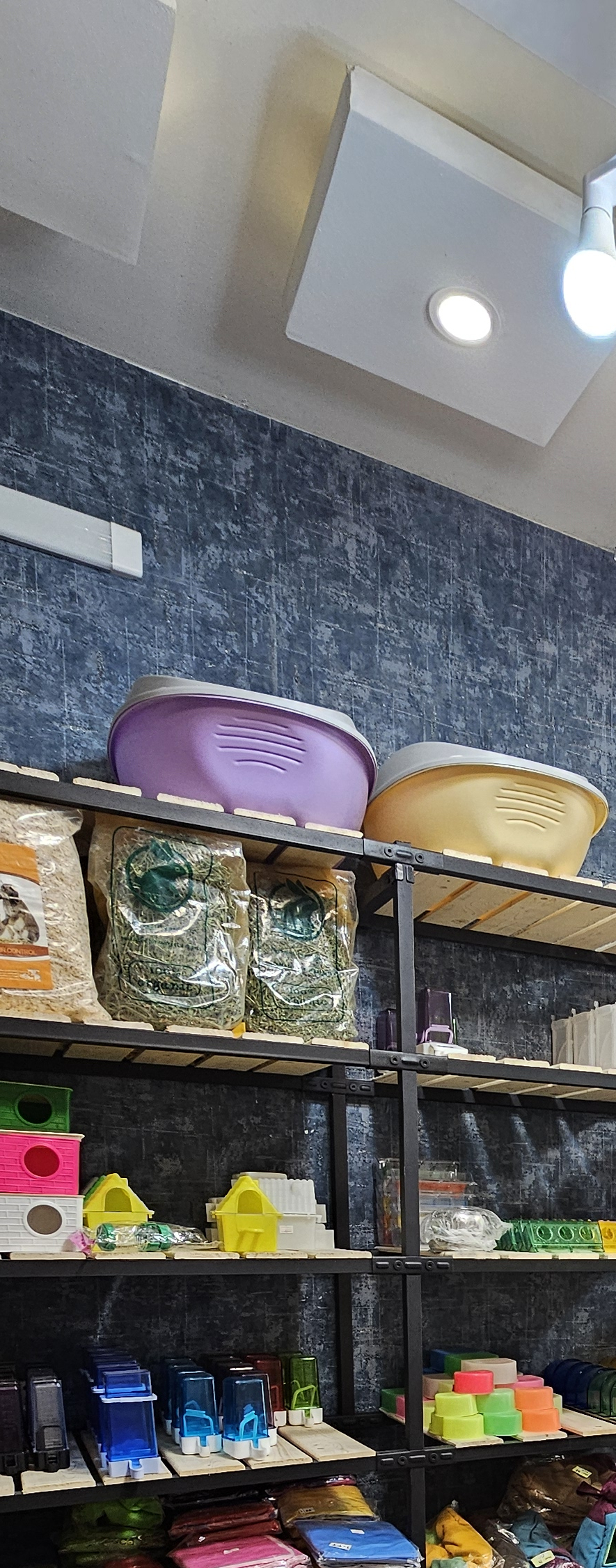پت شاپ باغچه طوطی