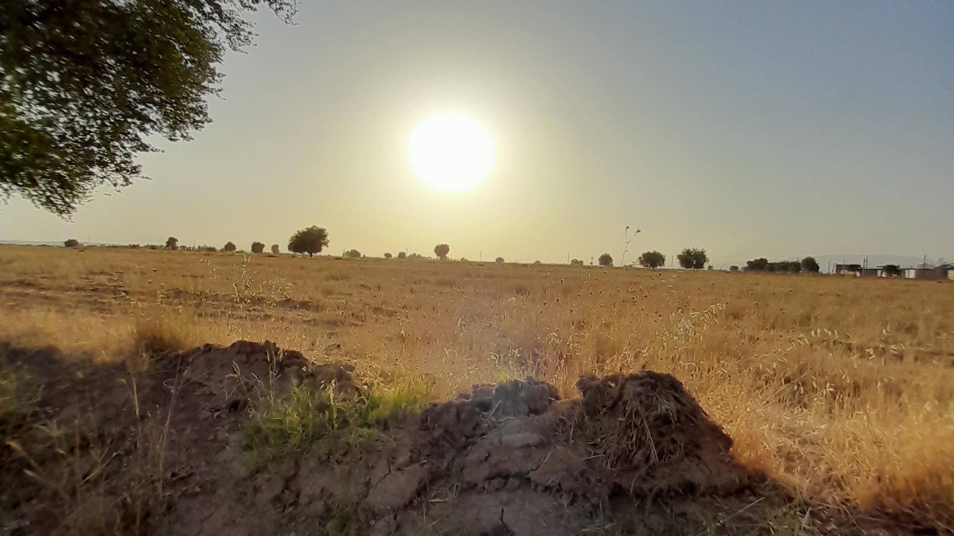 کافه-باغ-دهکده