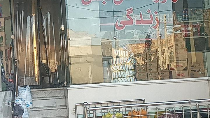 لبنیات زندگی