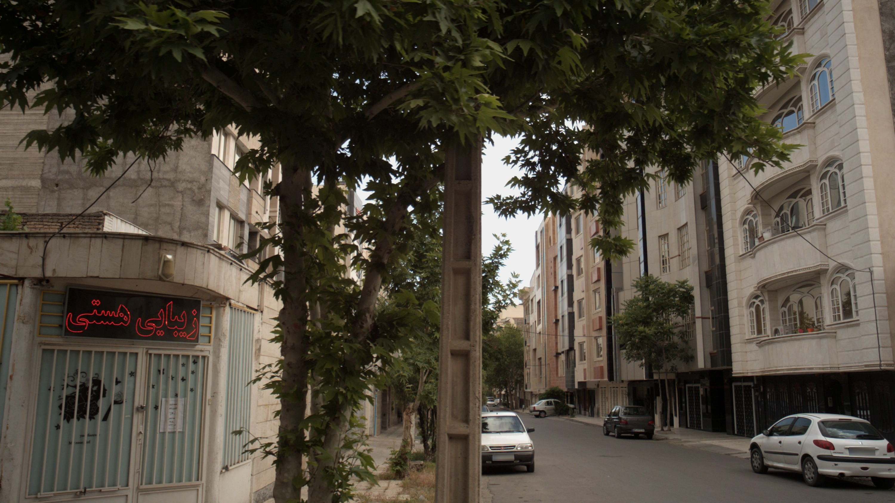 زیبایی هستی