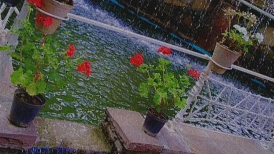 رستوران اقیانوس