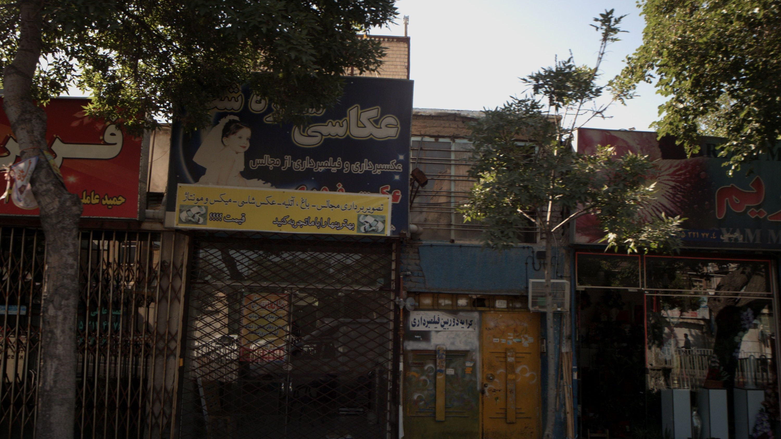 ضایعات جهان