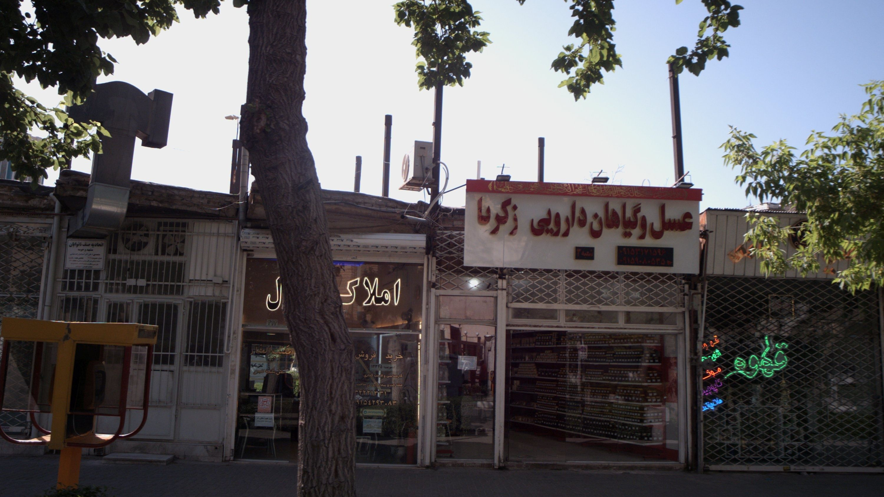 عسل و گیاهان دارویی ذکریا