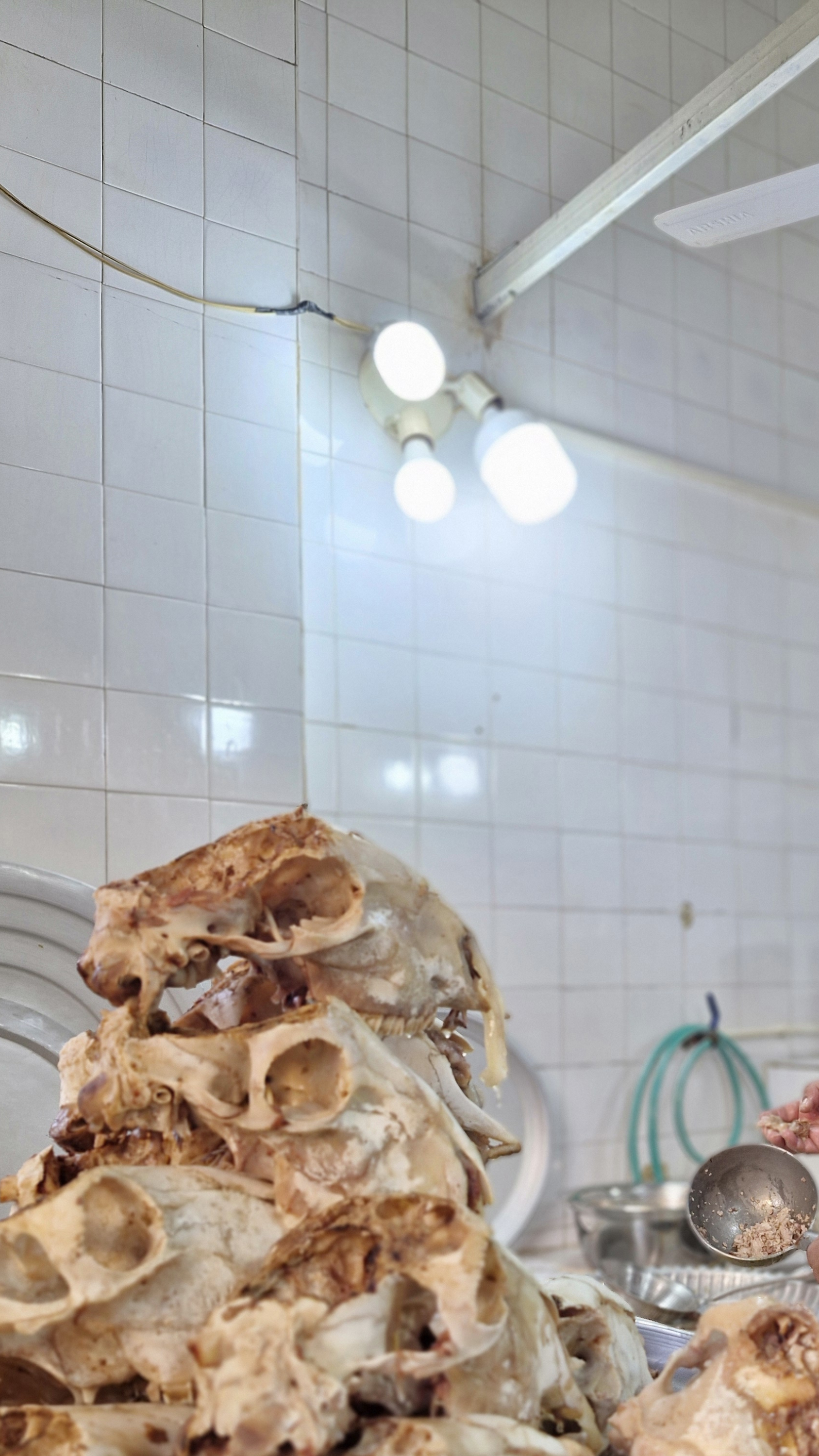 کله پزی تمیز