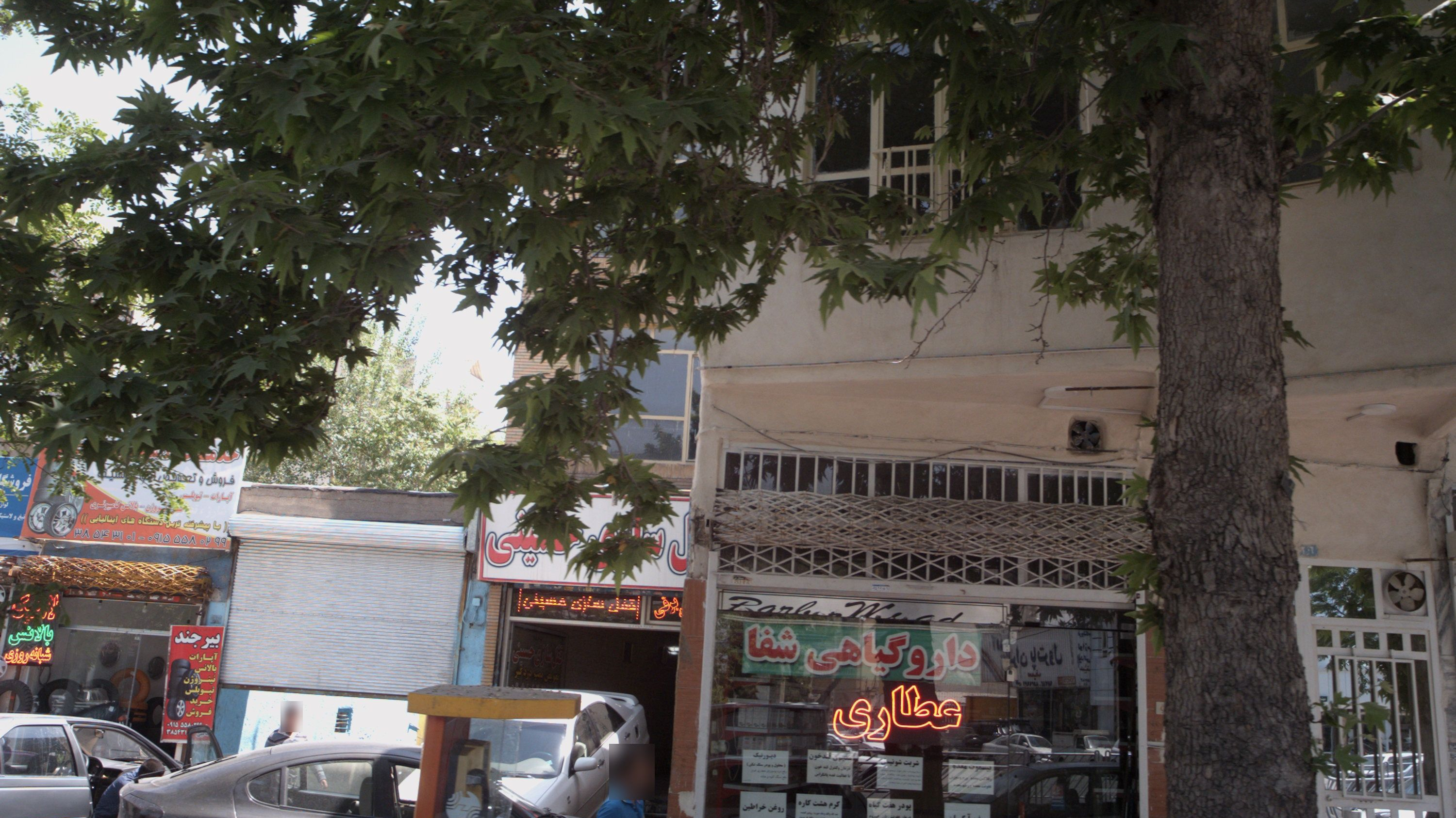 داروگیاهی شفا