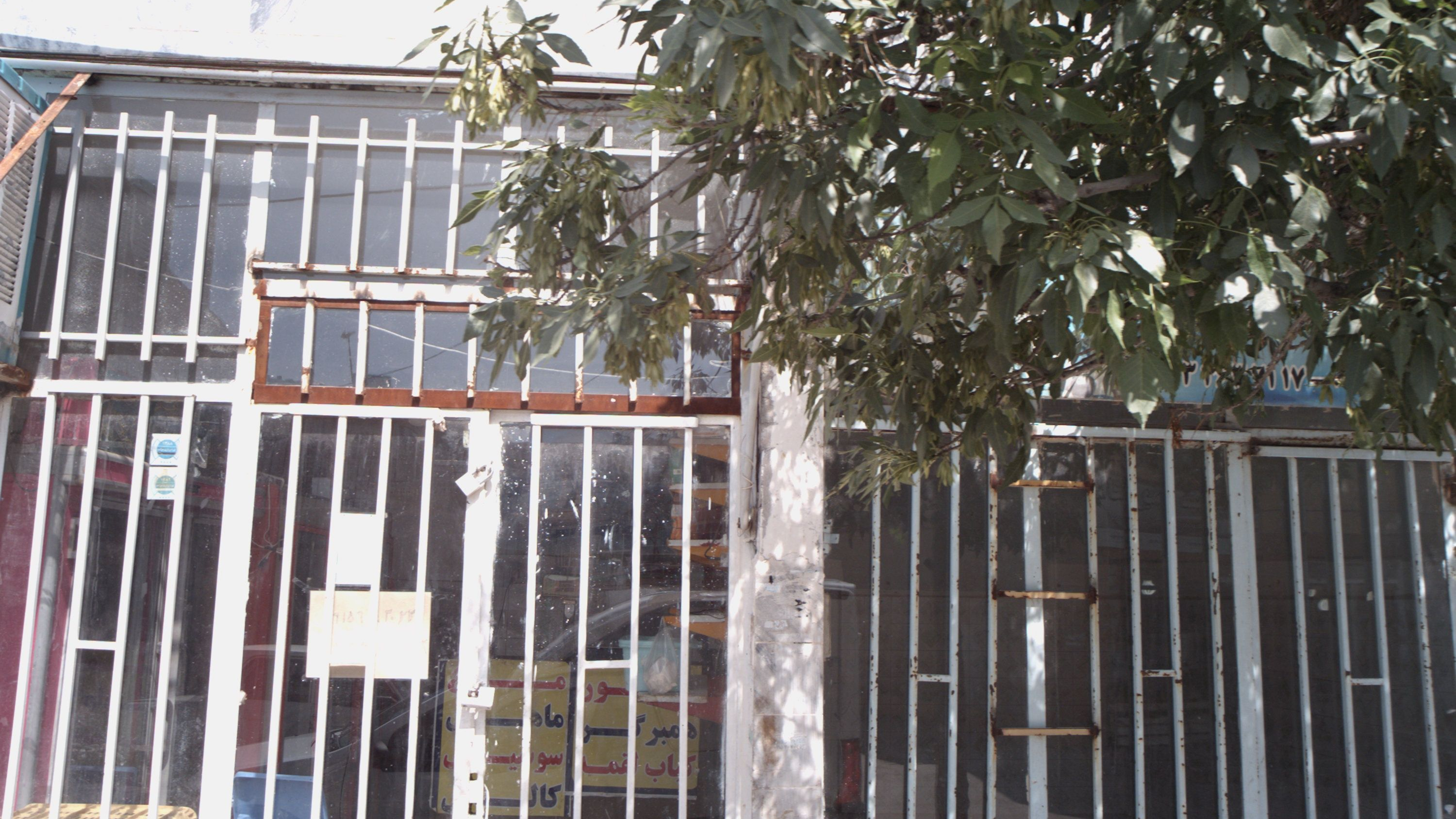 پروتئینی