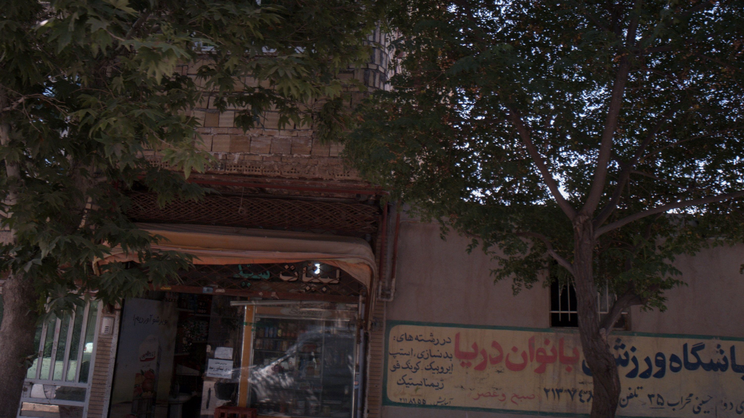 لبنیات سید
