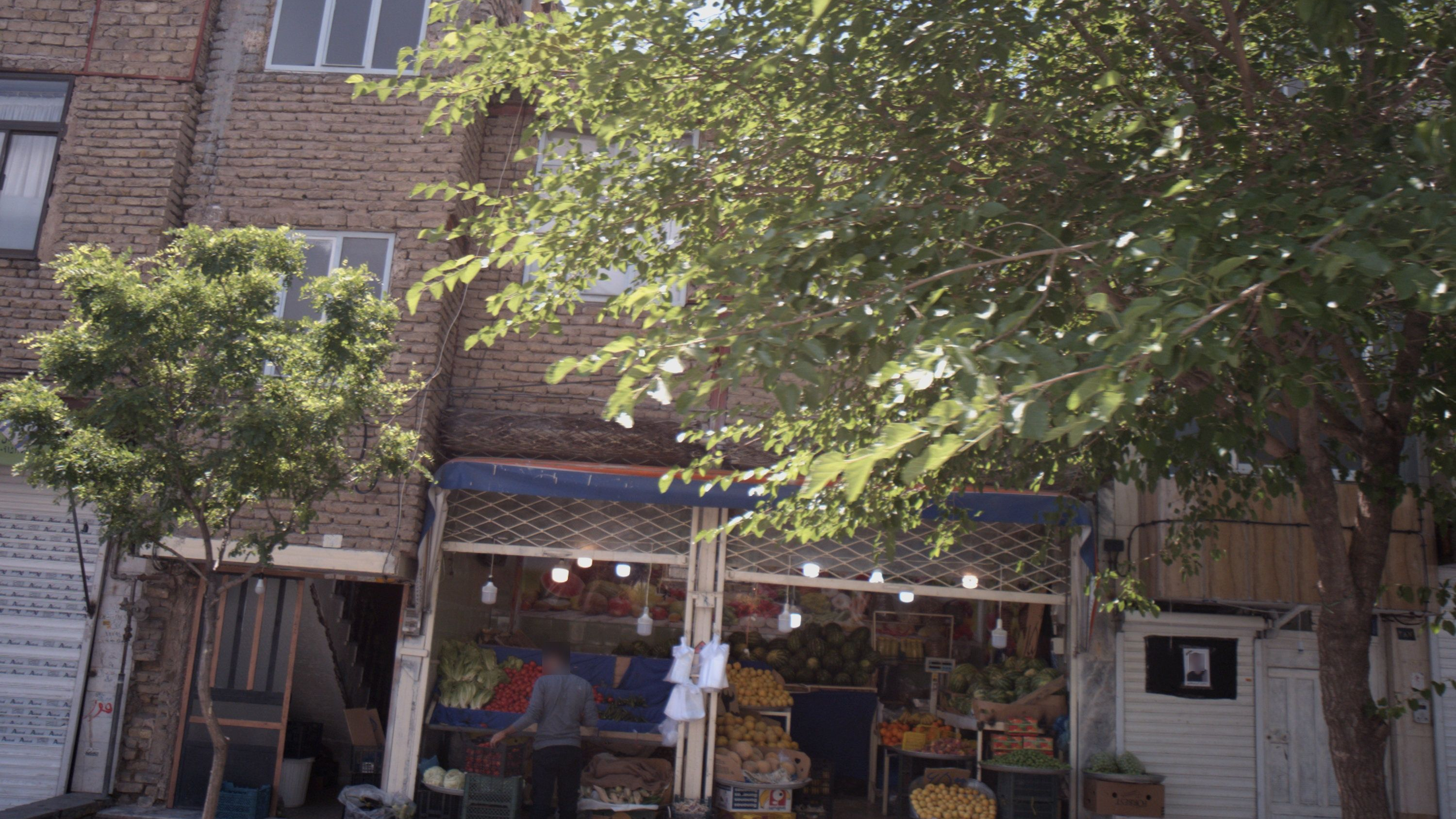 میوه فروشی