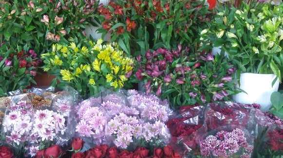 گلسرای شیرالی