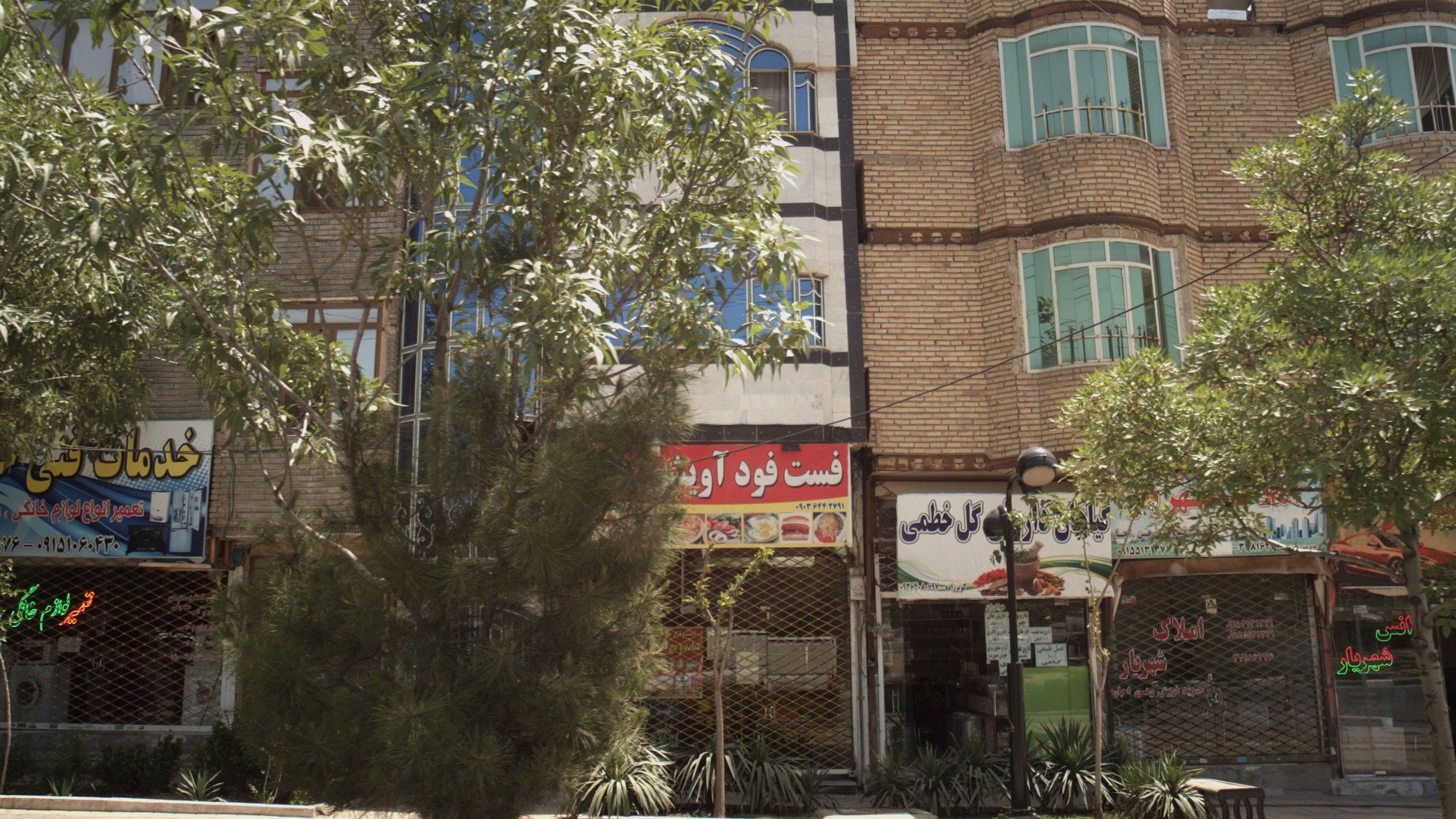 گیاهان داروئی گل ختمی