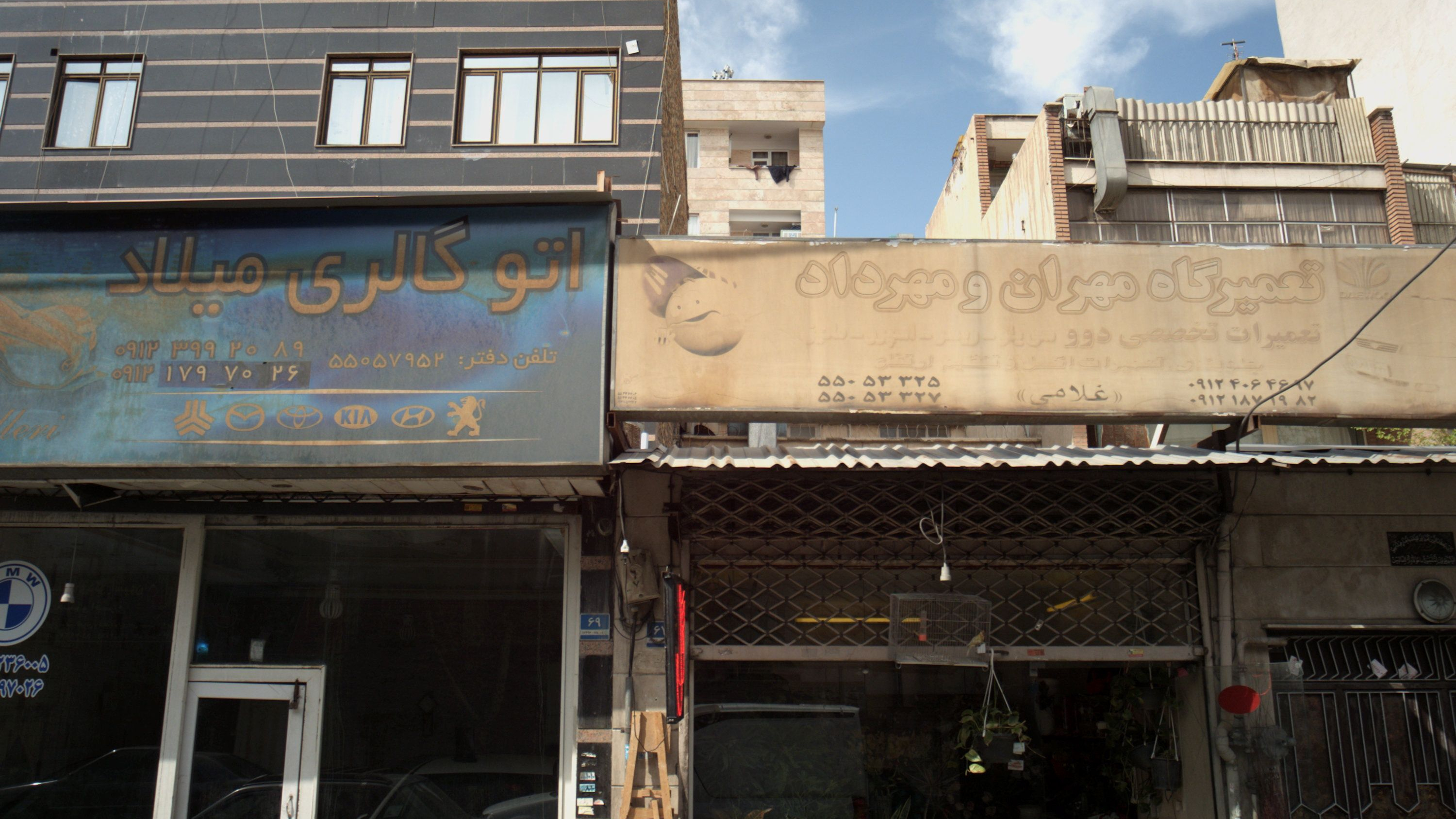 فروشگاه گل و گیاه