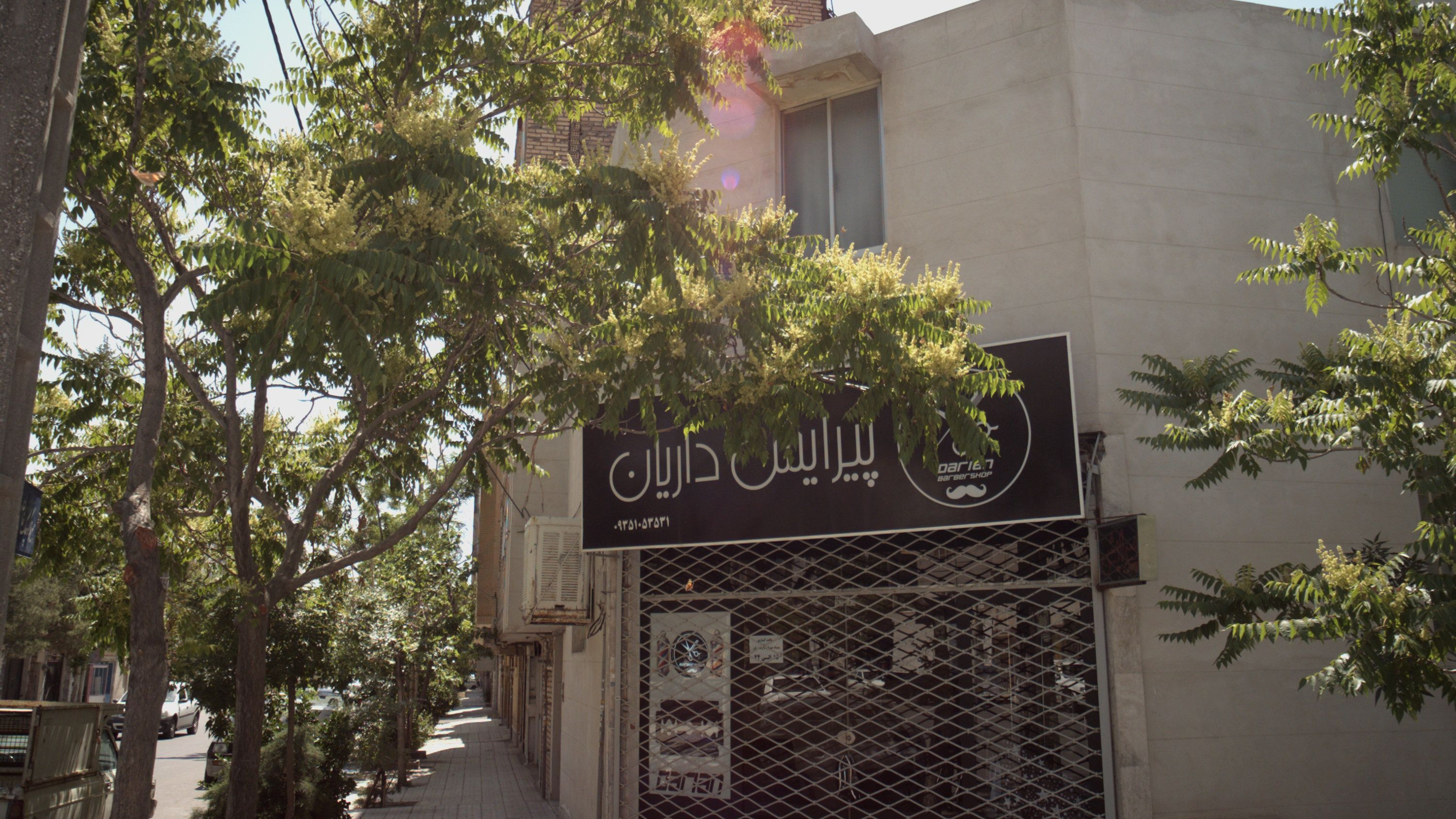 پیرایش داریان