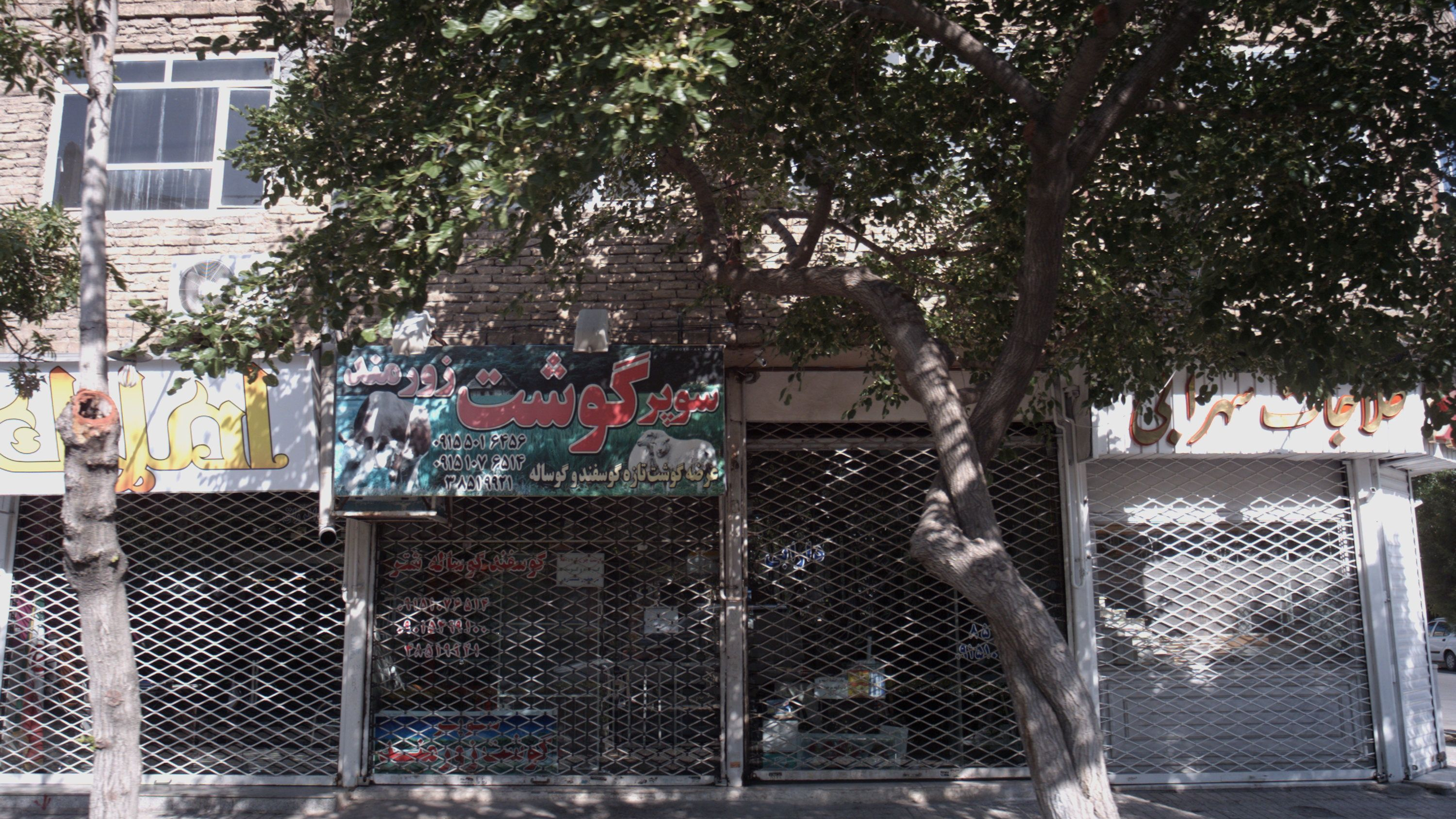 سوپر گوشت زورمند