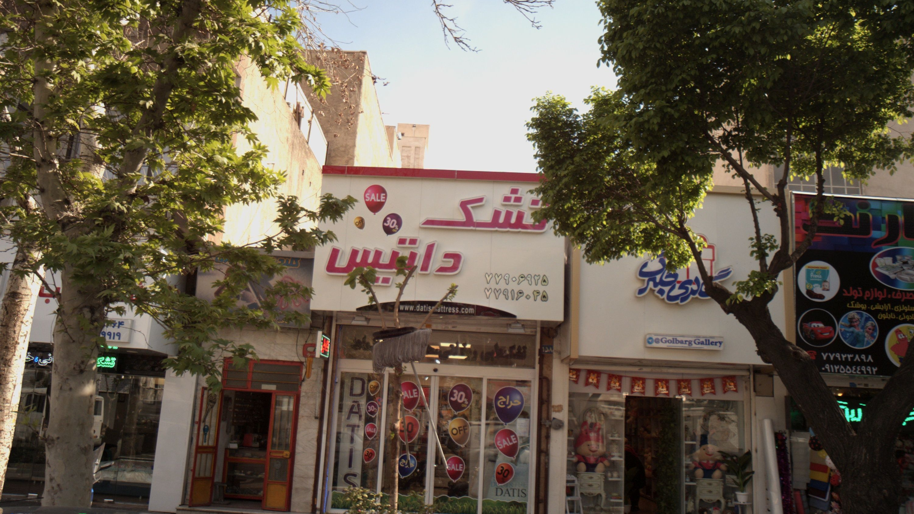 تشک داتیس