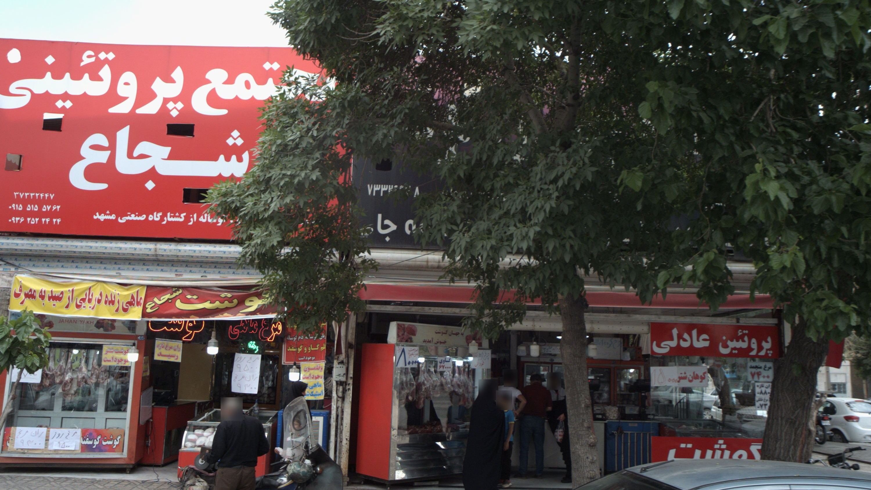 سوپر پروتئینی پروئتین عادلی