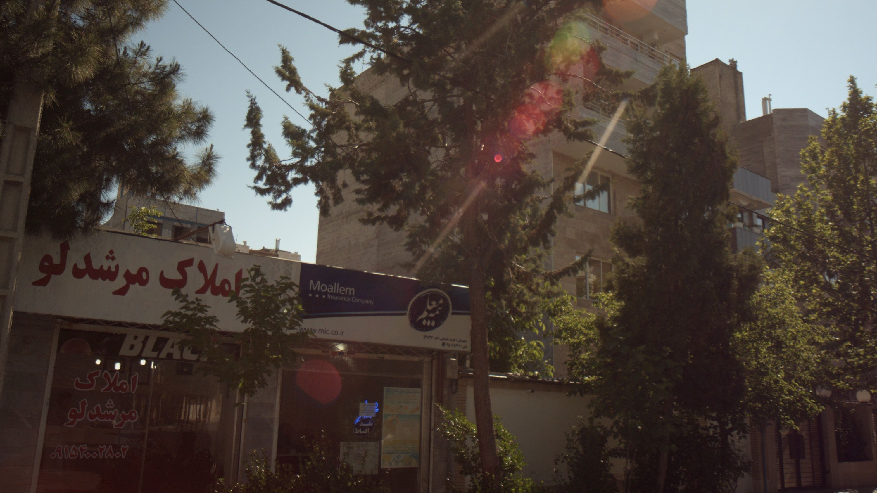 بیمه ایران