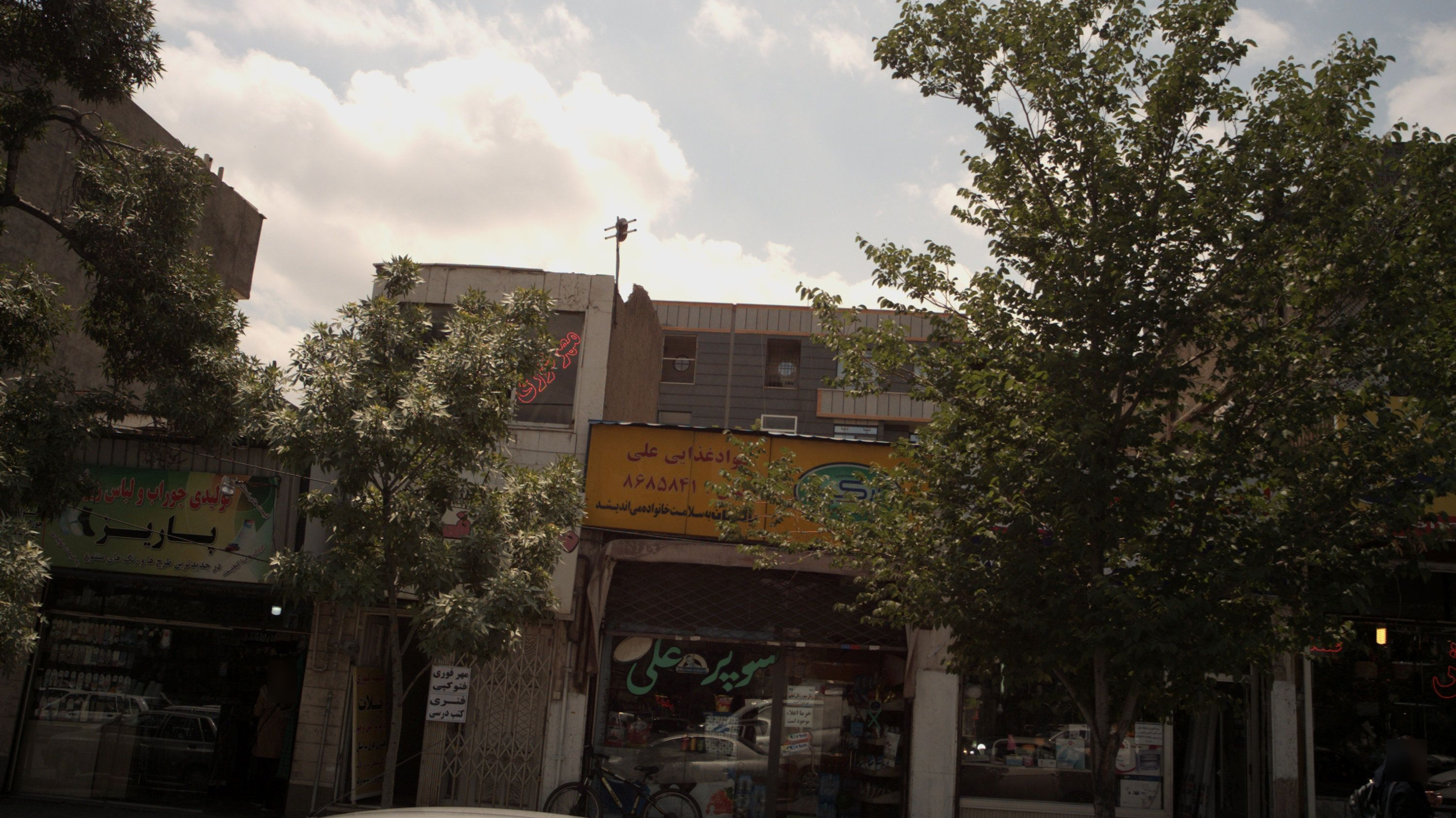 مواد غذایی علی