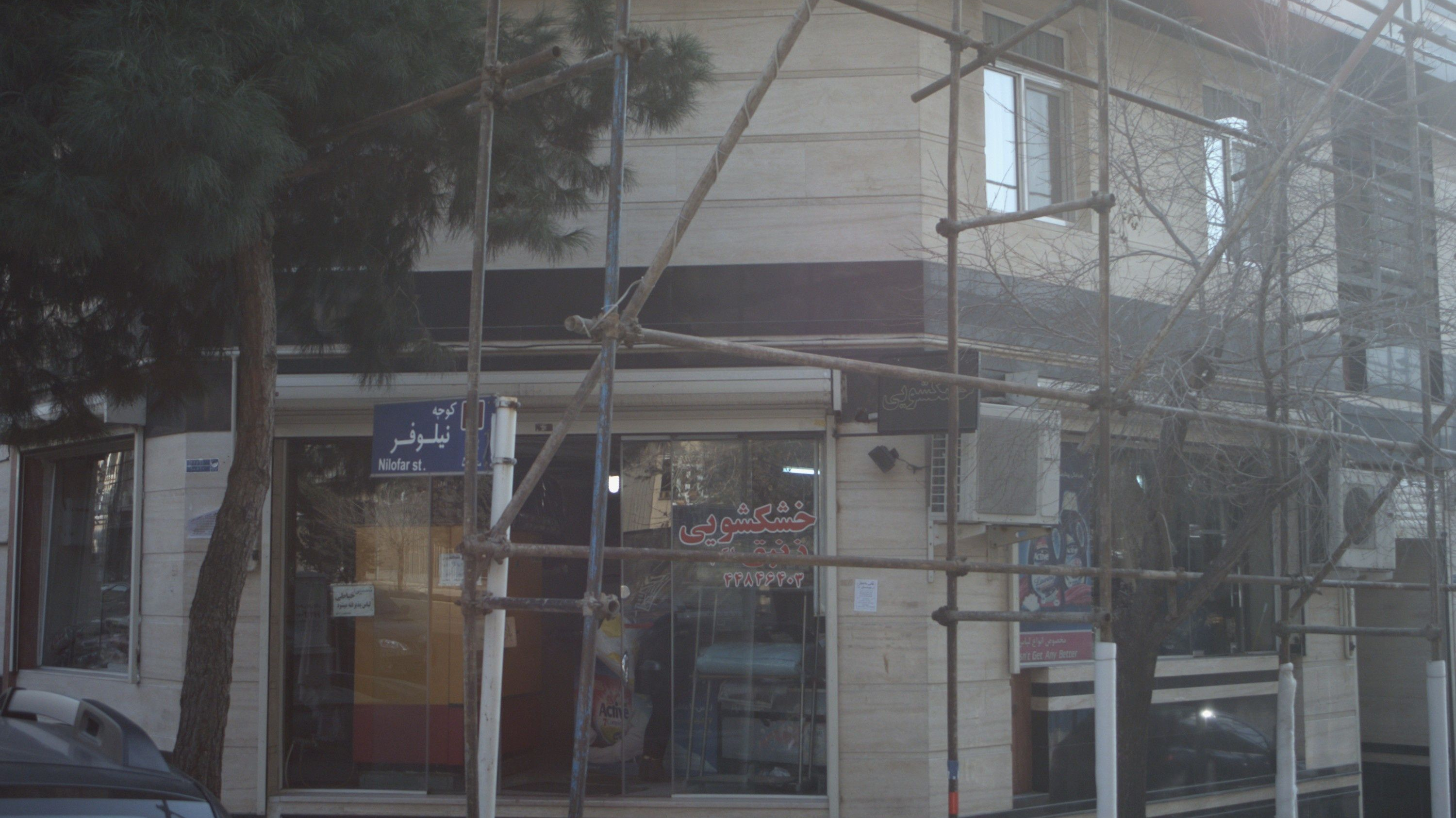 خشکشویی زنبق