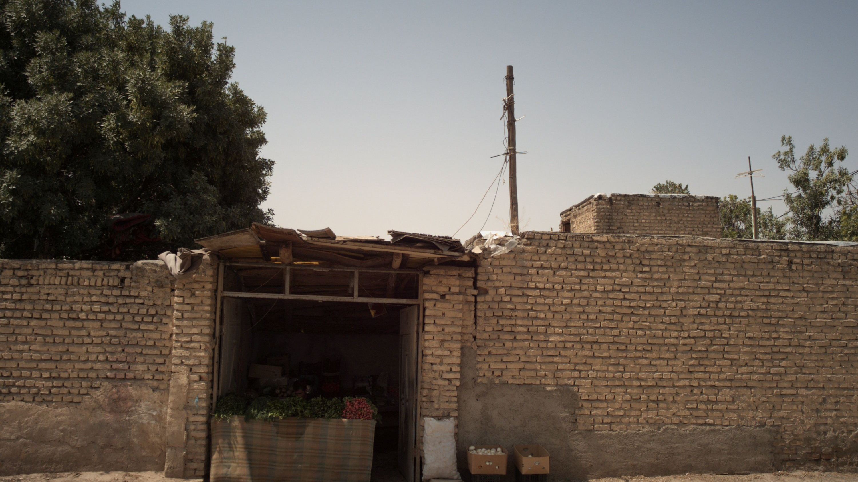 سبزی فروشی