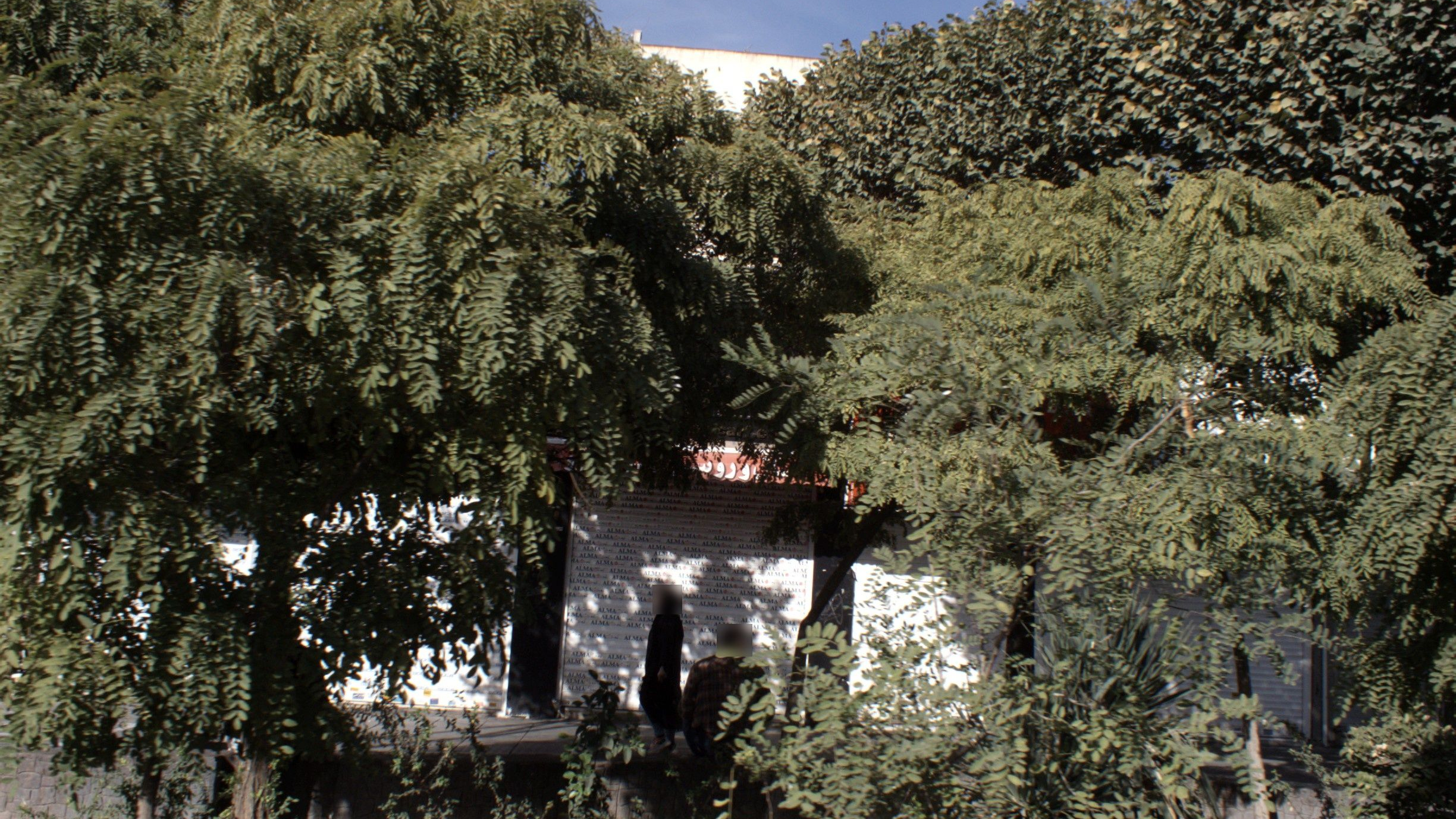 فروشگاه شال و روسری
