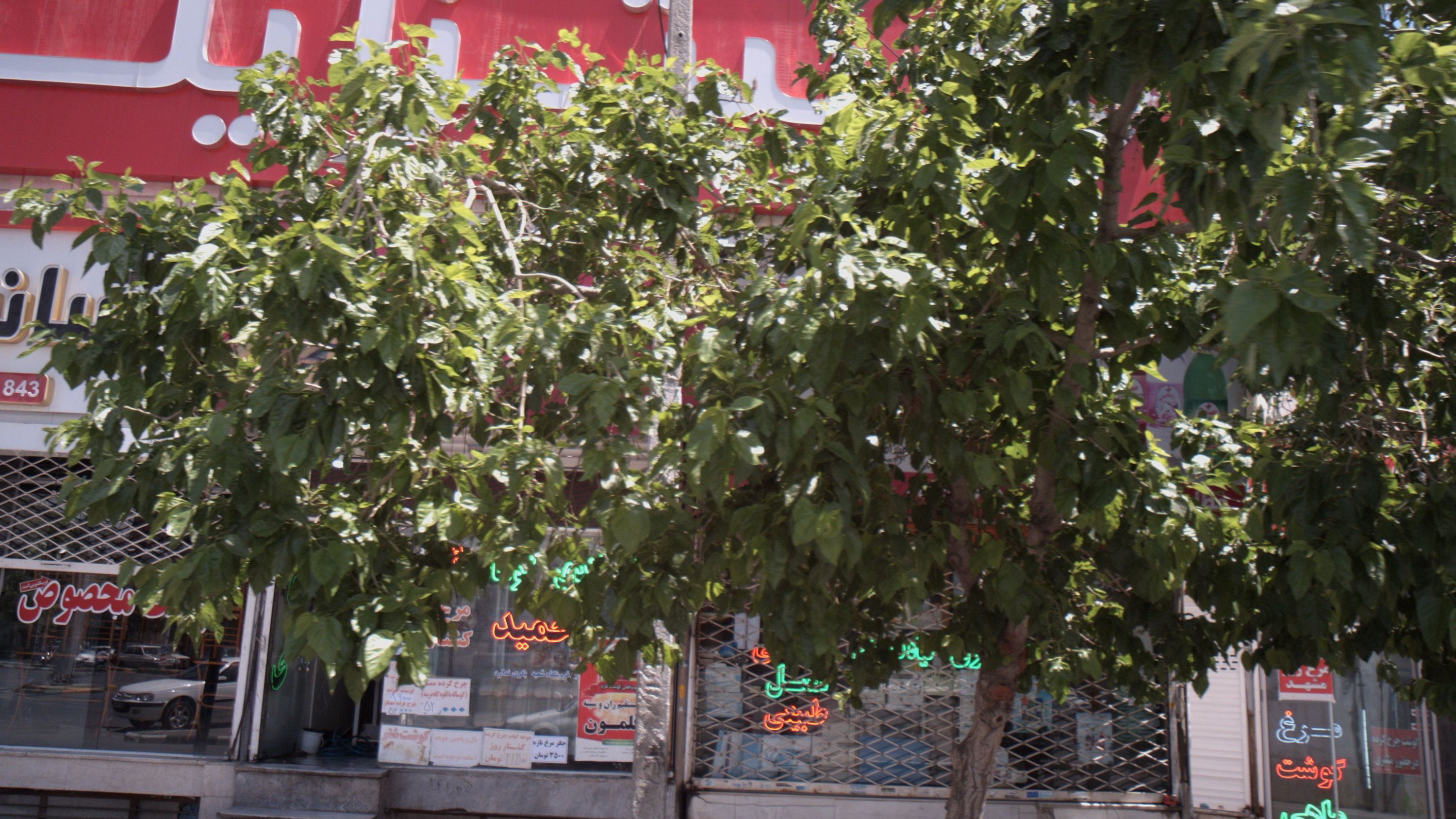 سوپر پروتئینی