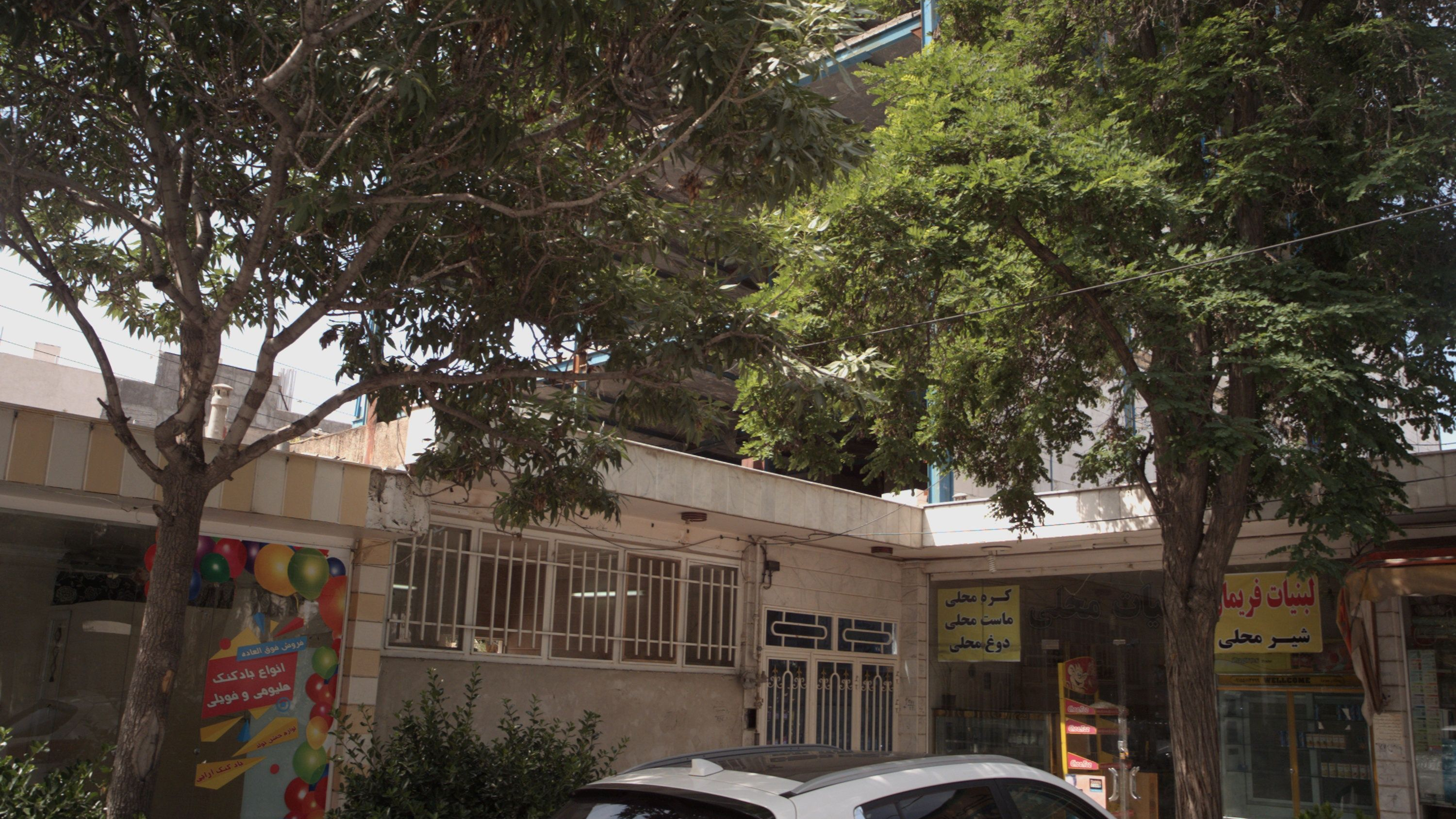 لبنیات فریمان