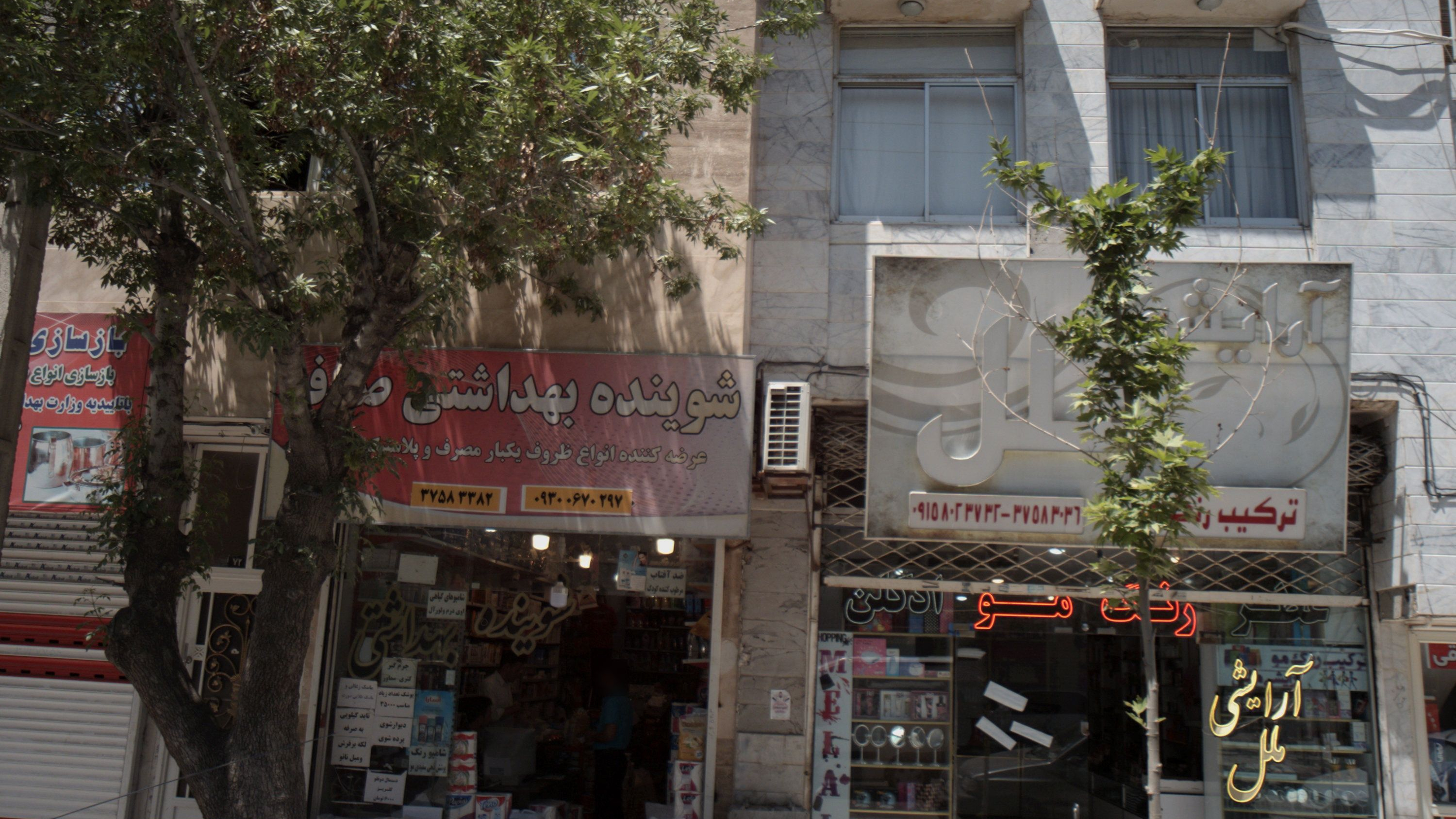 شوینده بهداشتی صدف