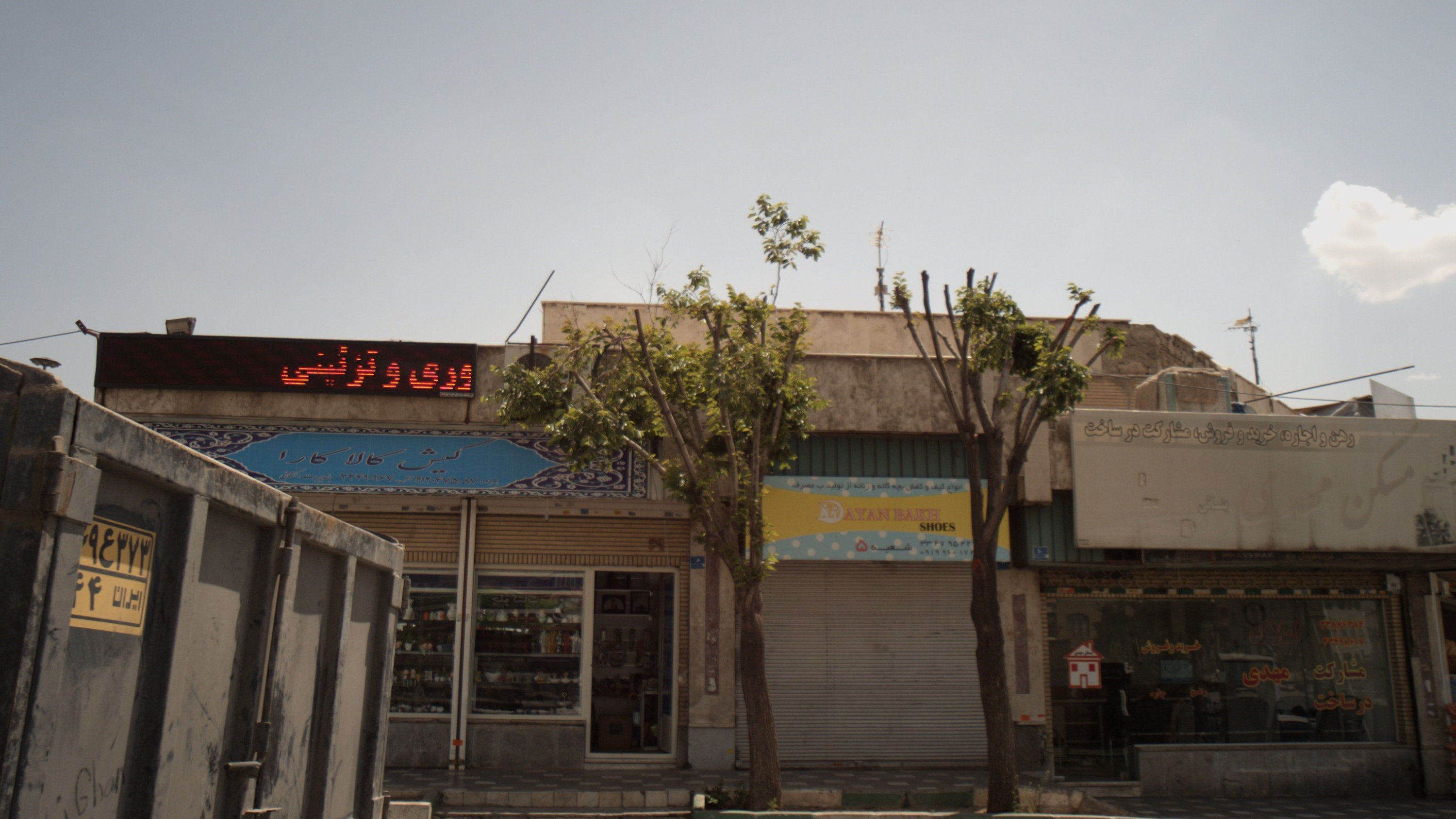 دایان باخ شوز