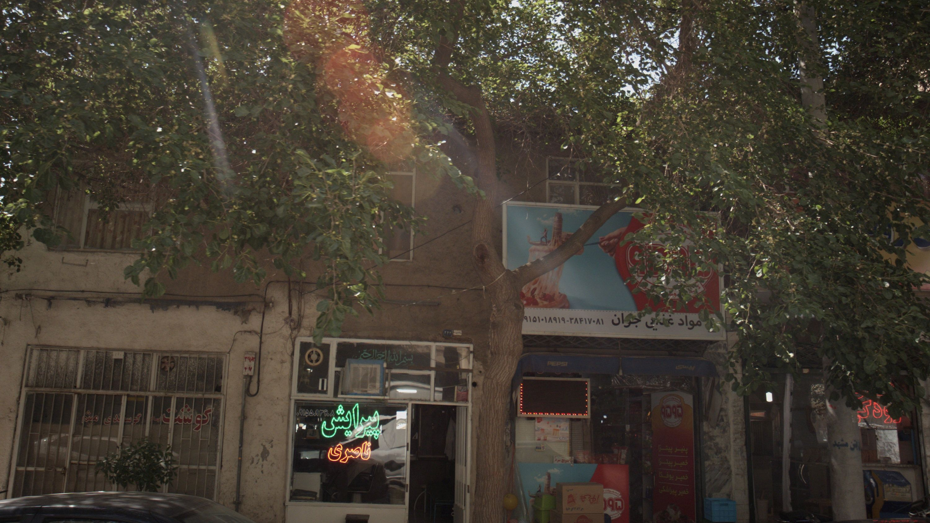پیرایش ناصری