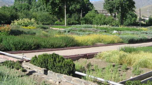 باغ گیاهان دارویی بو علی سینا