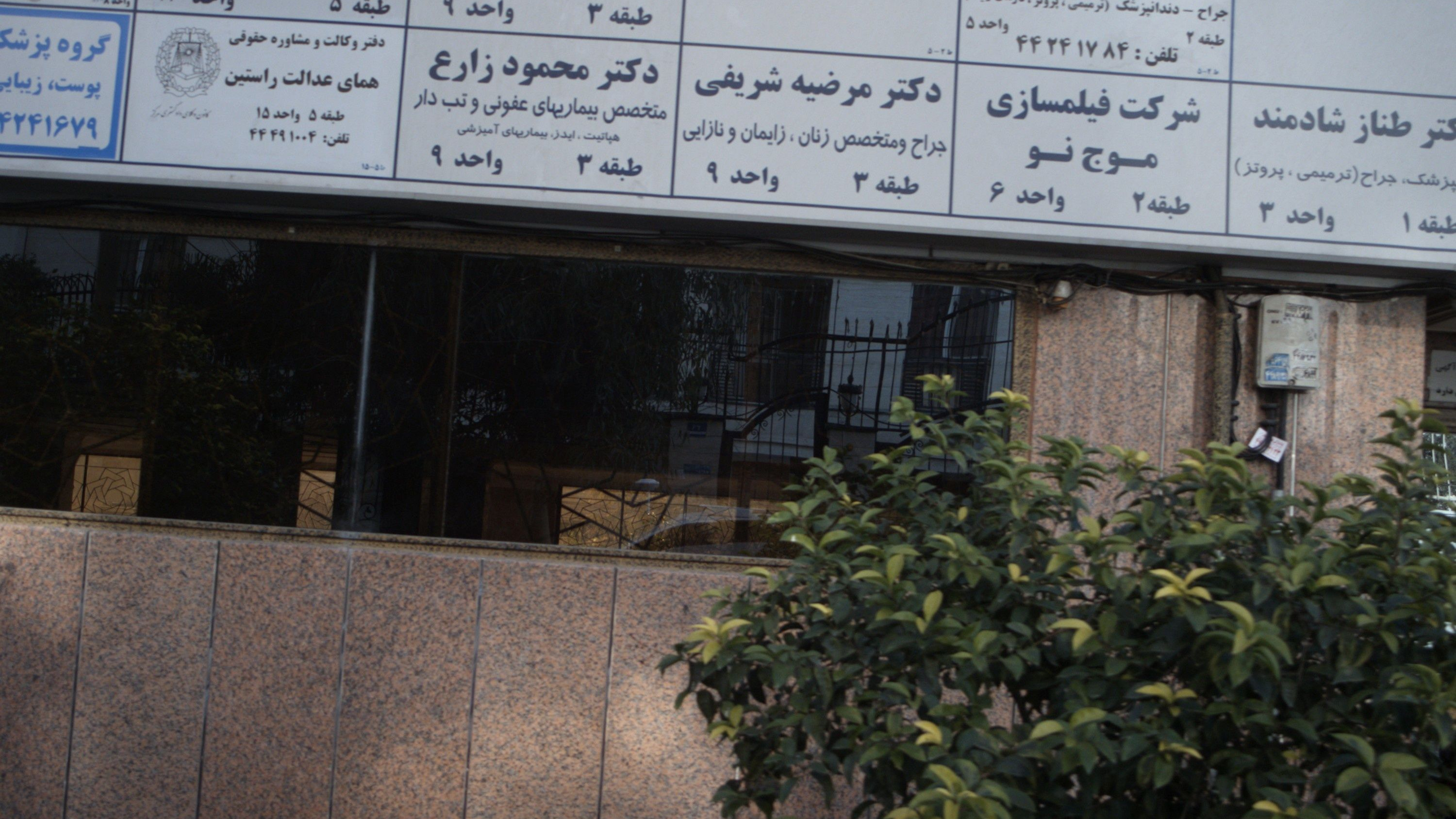 دکتر محمود زارع