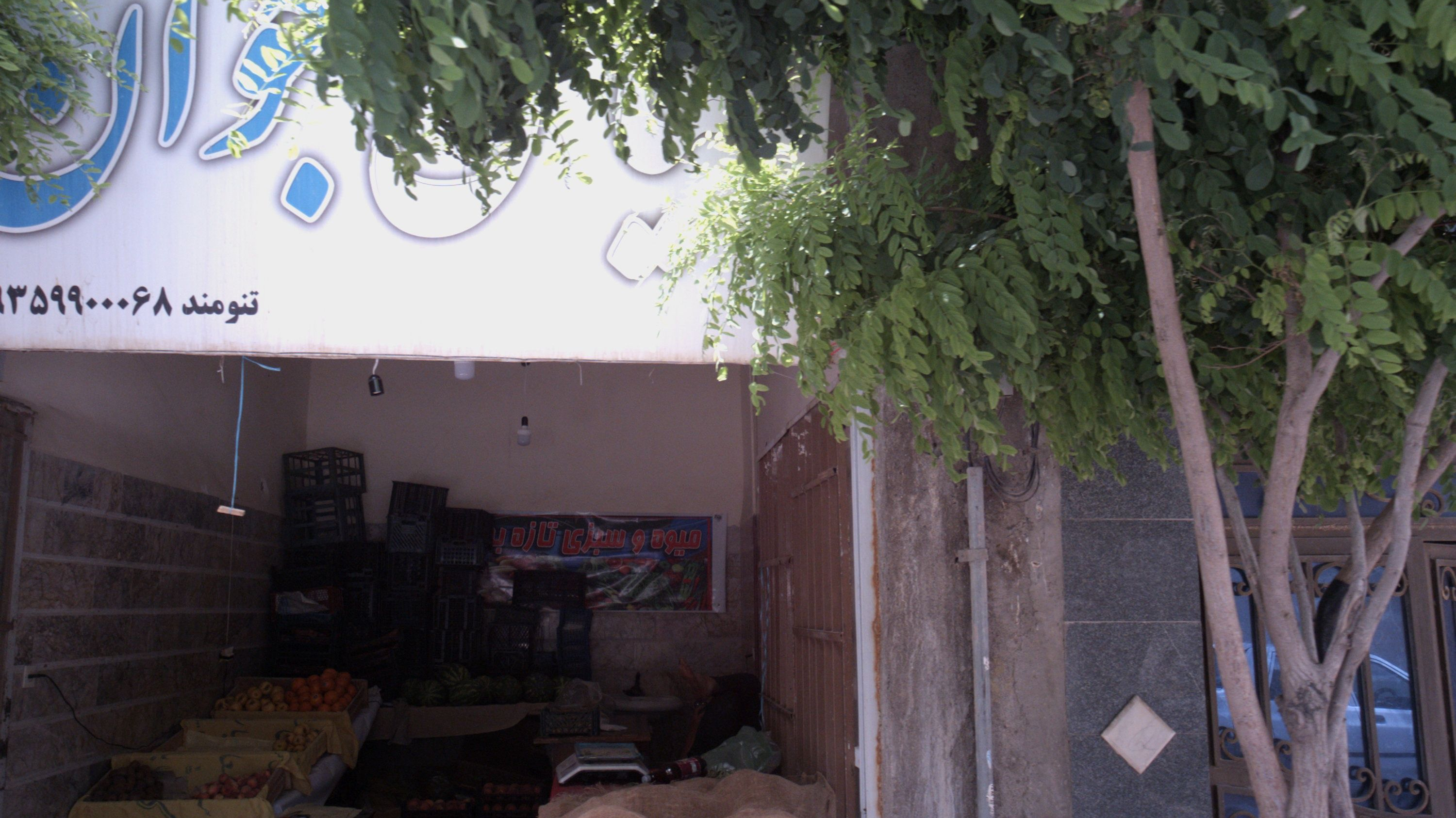 میوه فروشی