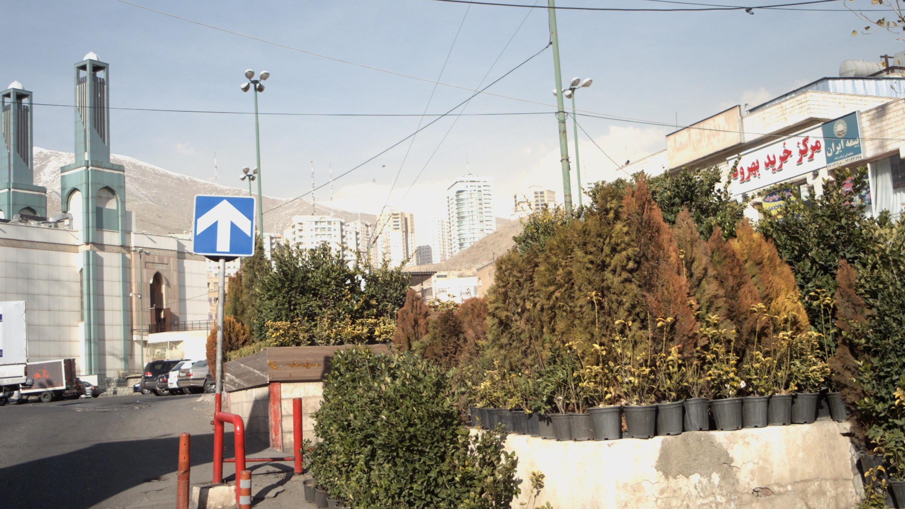 بیمه ایران نمایندگی ارباب زاده