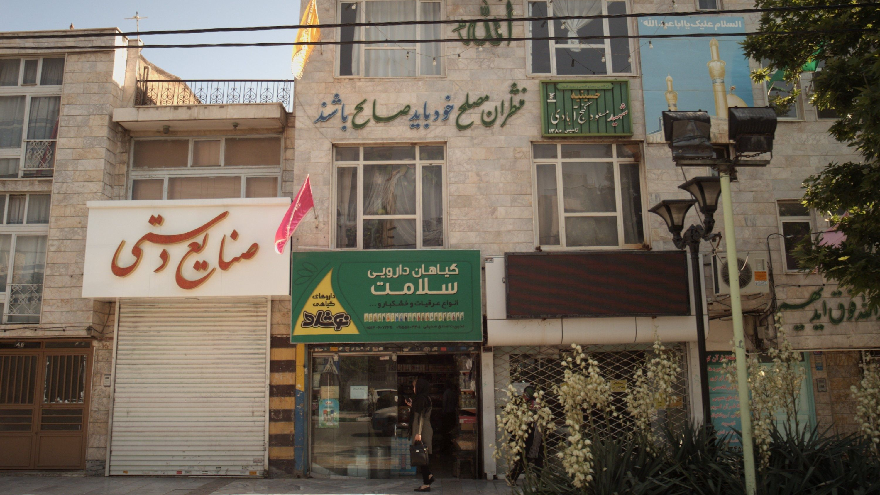 گیاهان دارویی سلامت