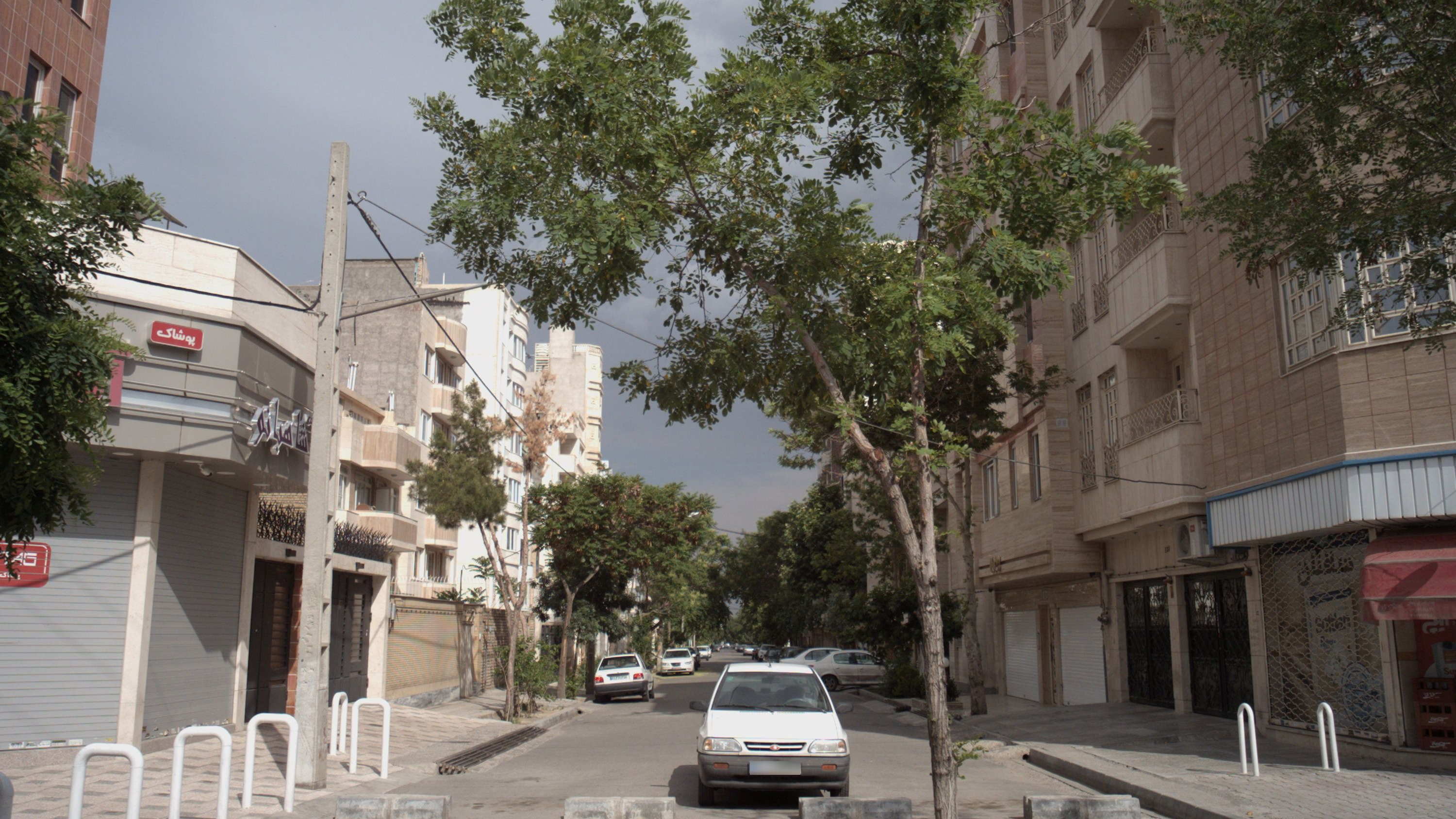 شال و روسری شاهبانو