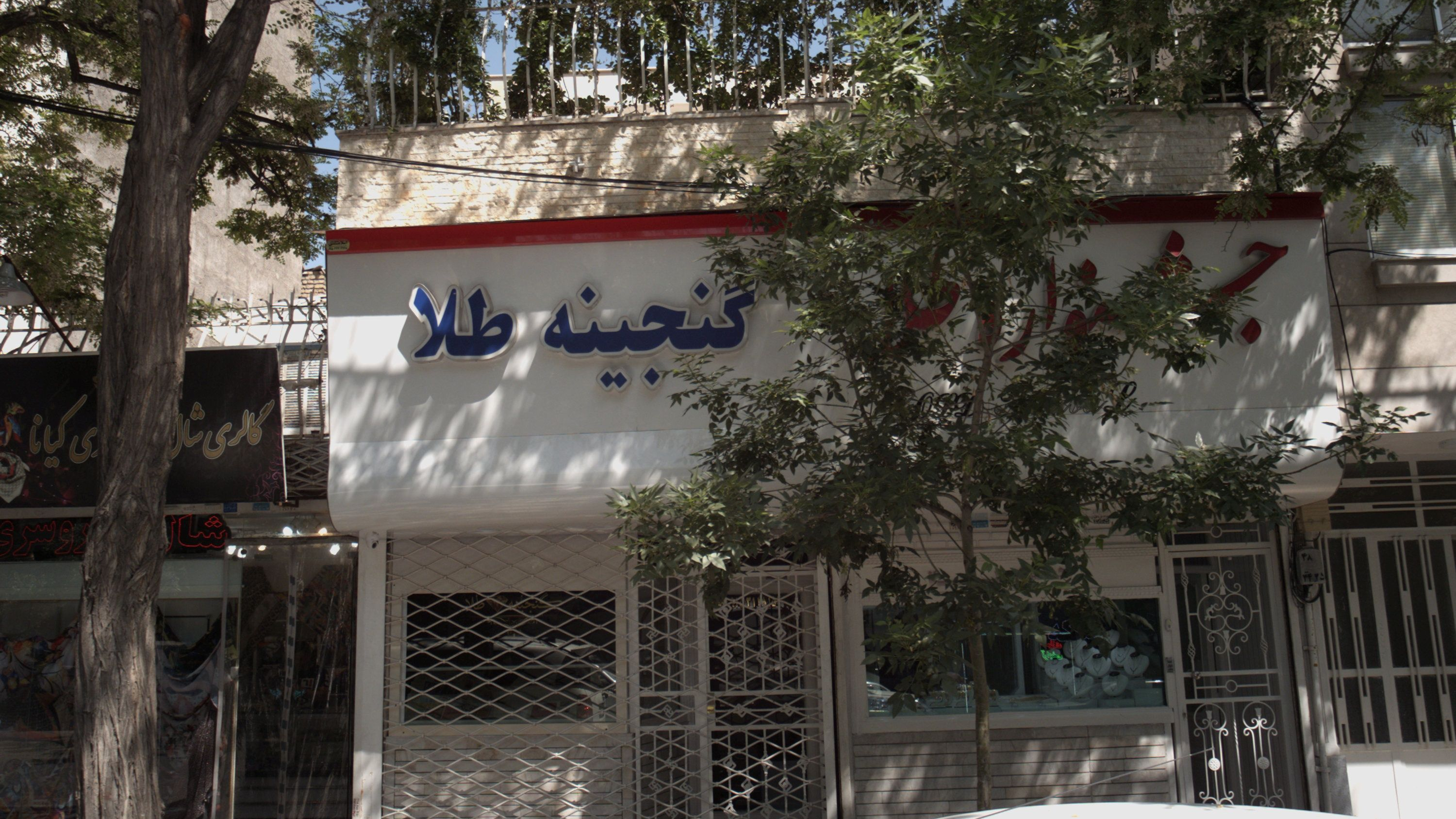 گنجینه طلا