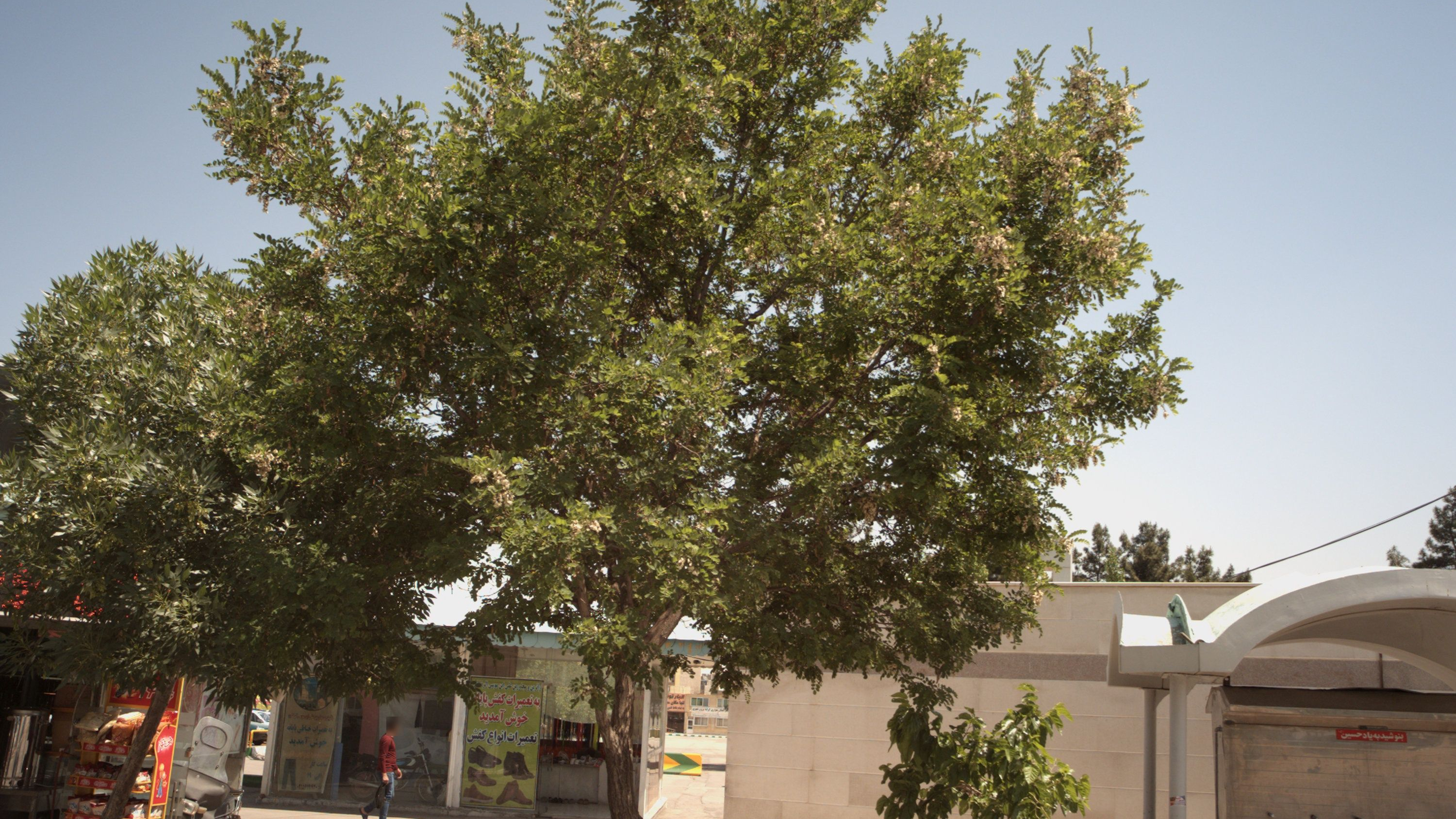 تعمیرات خیاطی پایانه