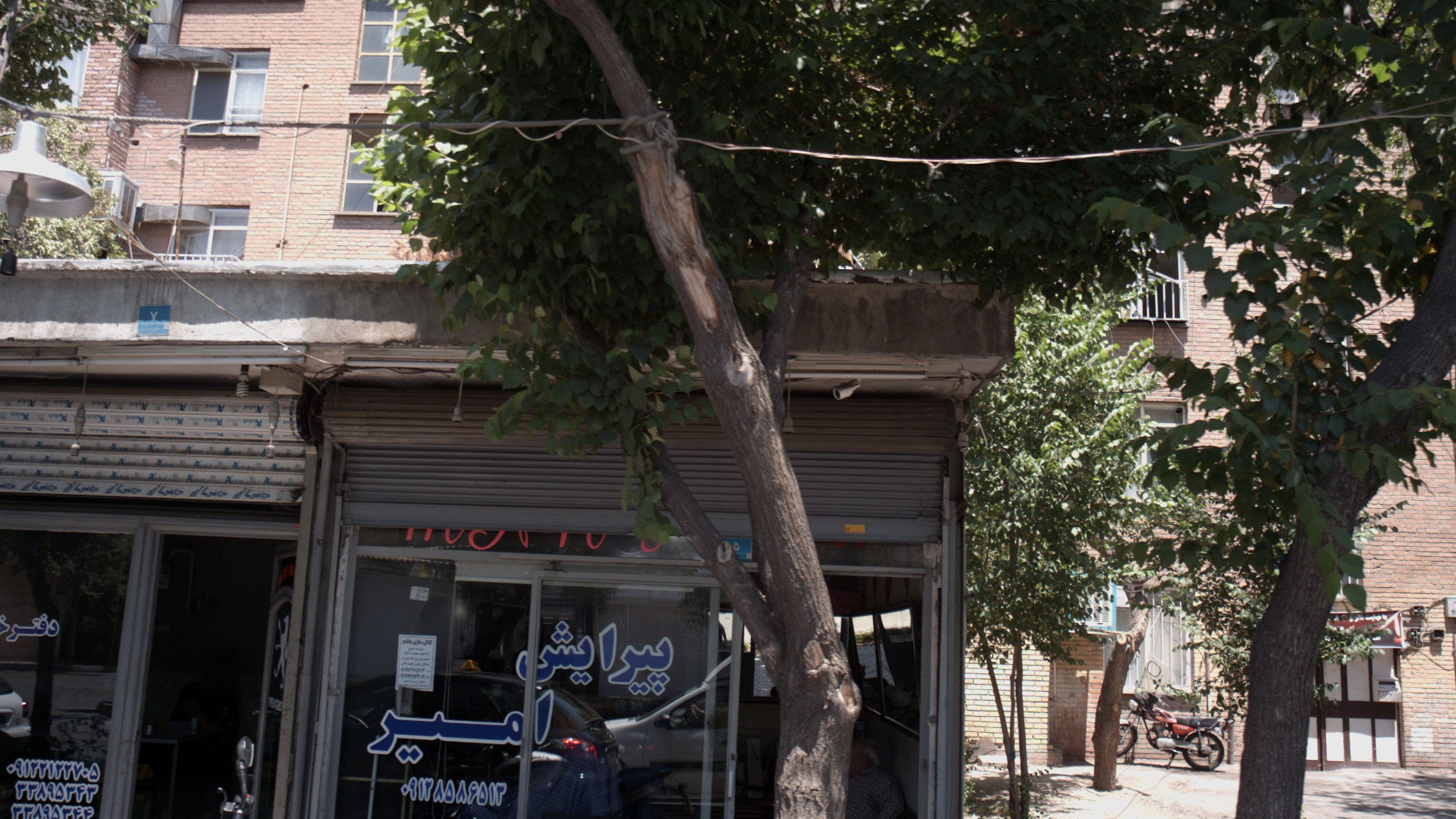پیرایش امیر
