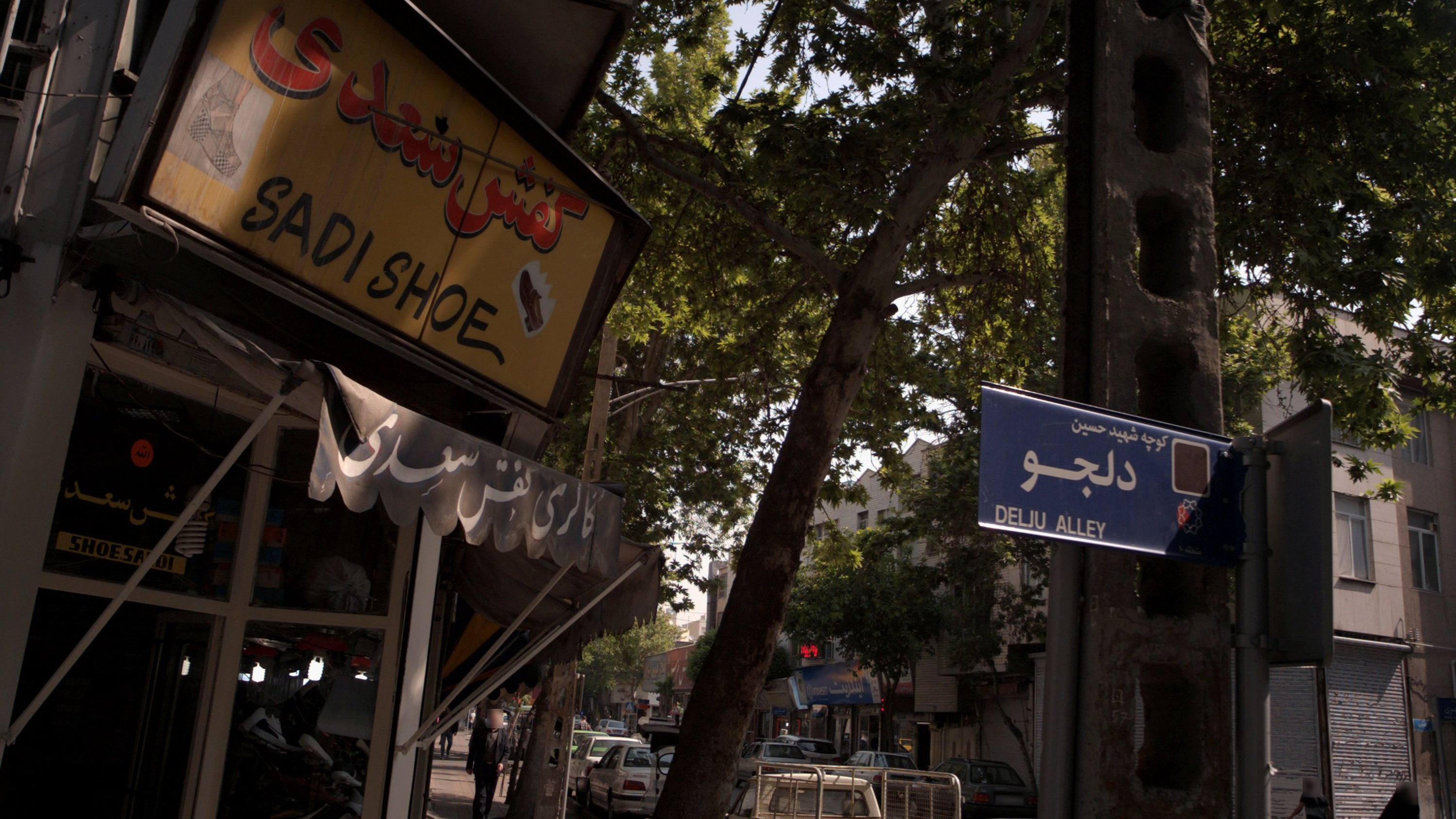 کفش سعدی